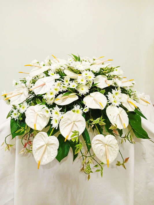 FB - Top coffin - Anthurium of purity