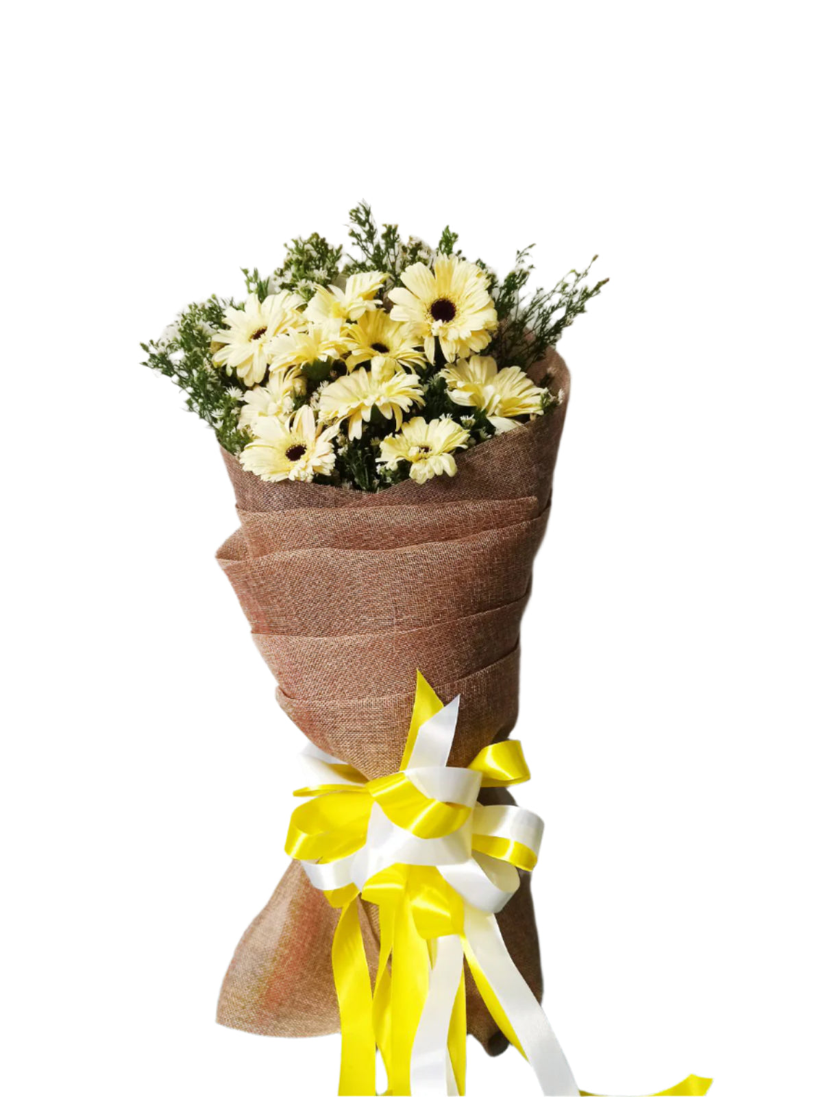 Gerb White Daisies
