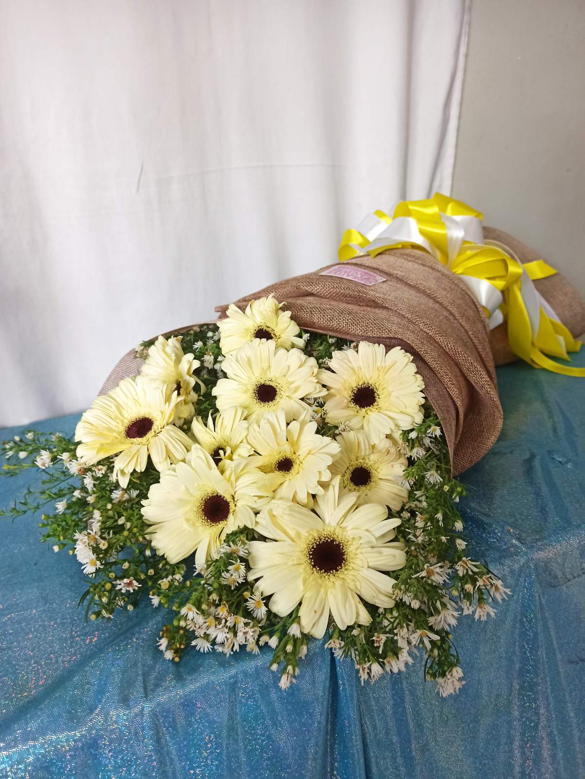 Gerb White Daisies
