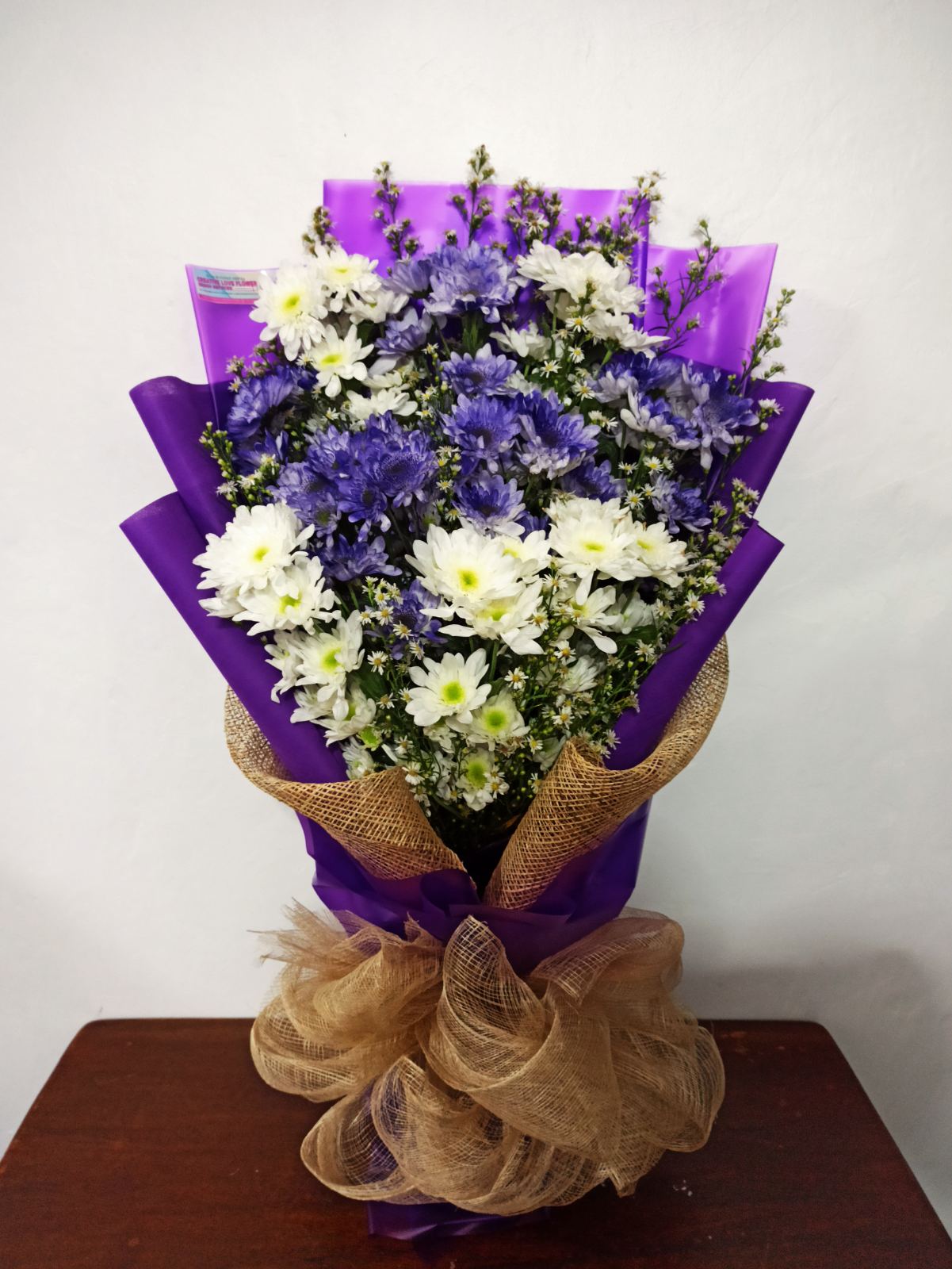 Chrysanthemums - Purple esplanade