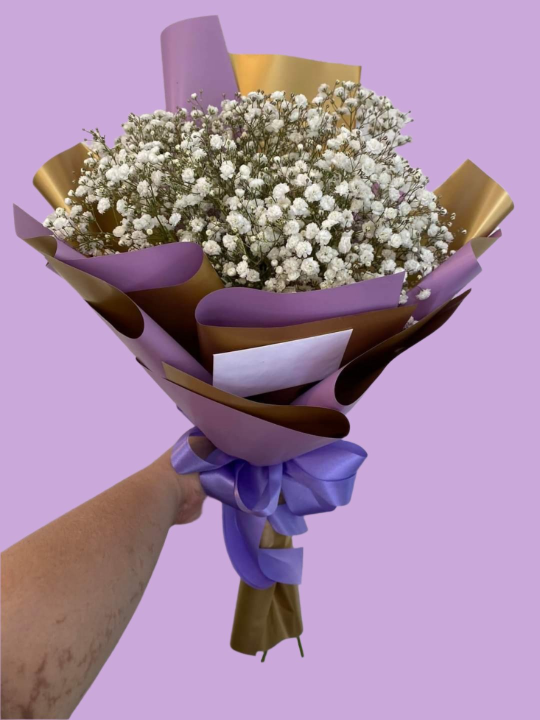 Gypso - Rounded Fres violet