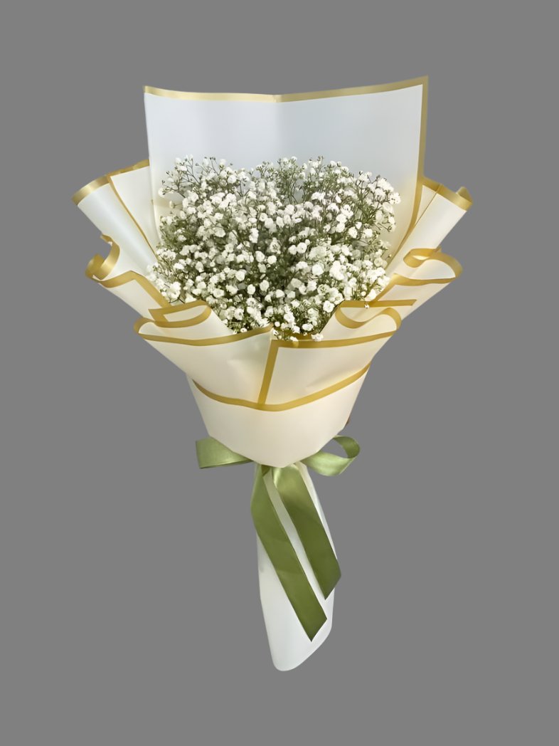 Gypso - Fresh in White