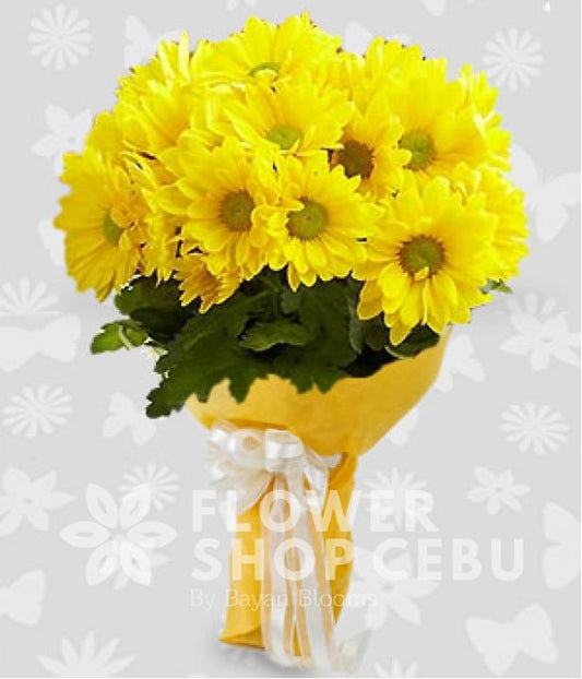 Chrysanthemums - Yellow Mums
