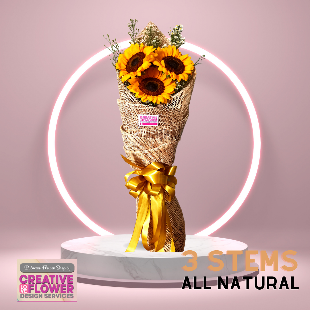 SUNFLOWER - 3 Naturally Outstanding