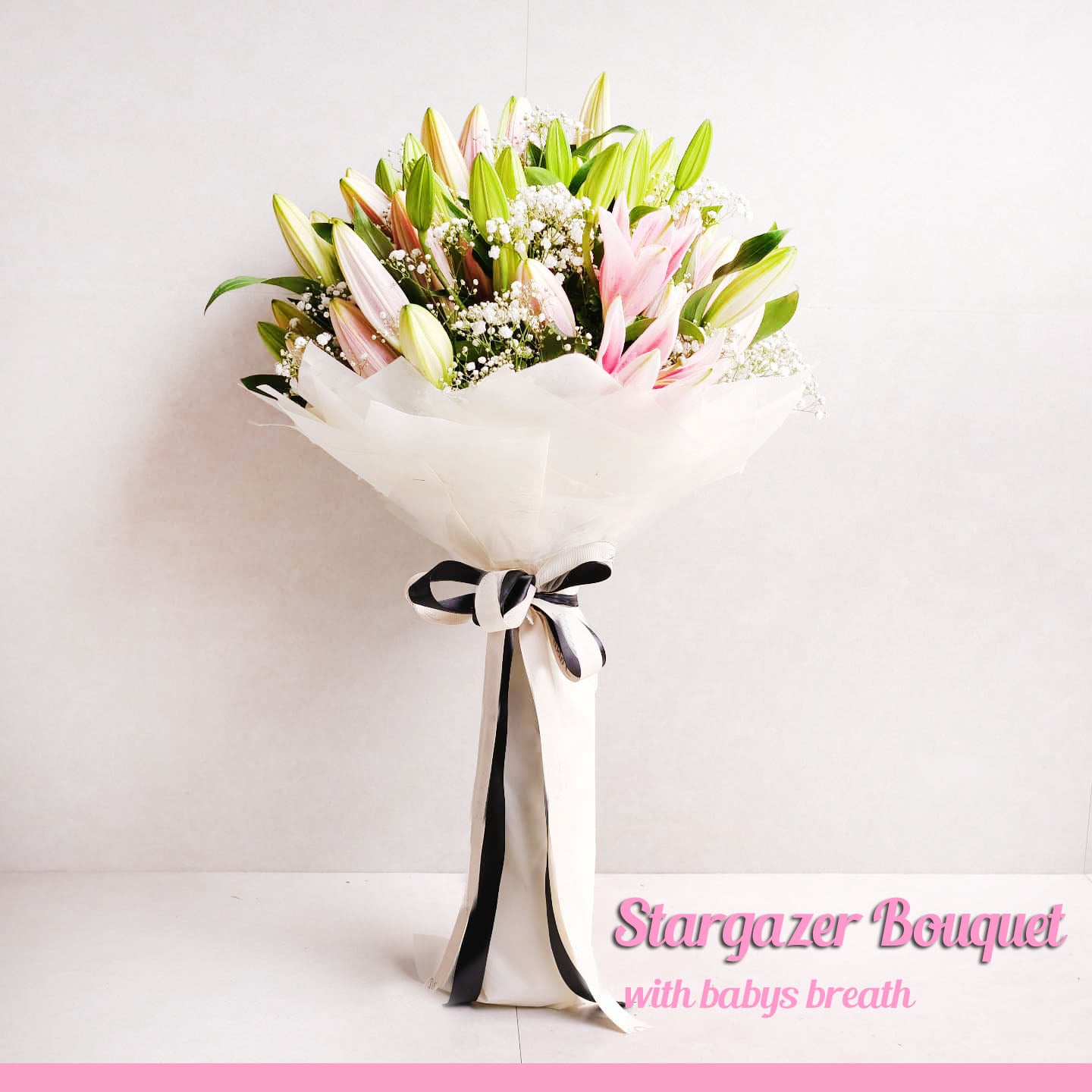 Stargazer for You