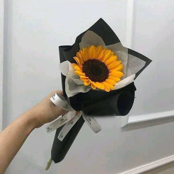 Single sunflower no fillers