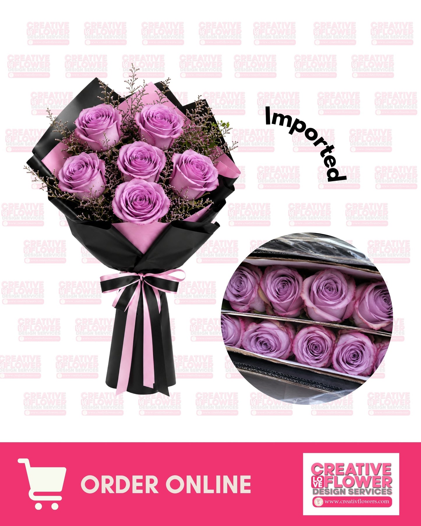 6 Lilac Primiera
