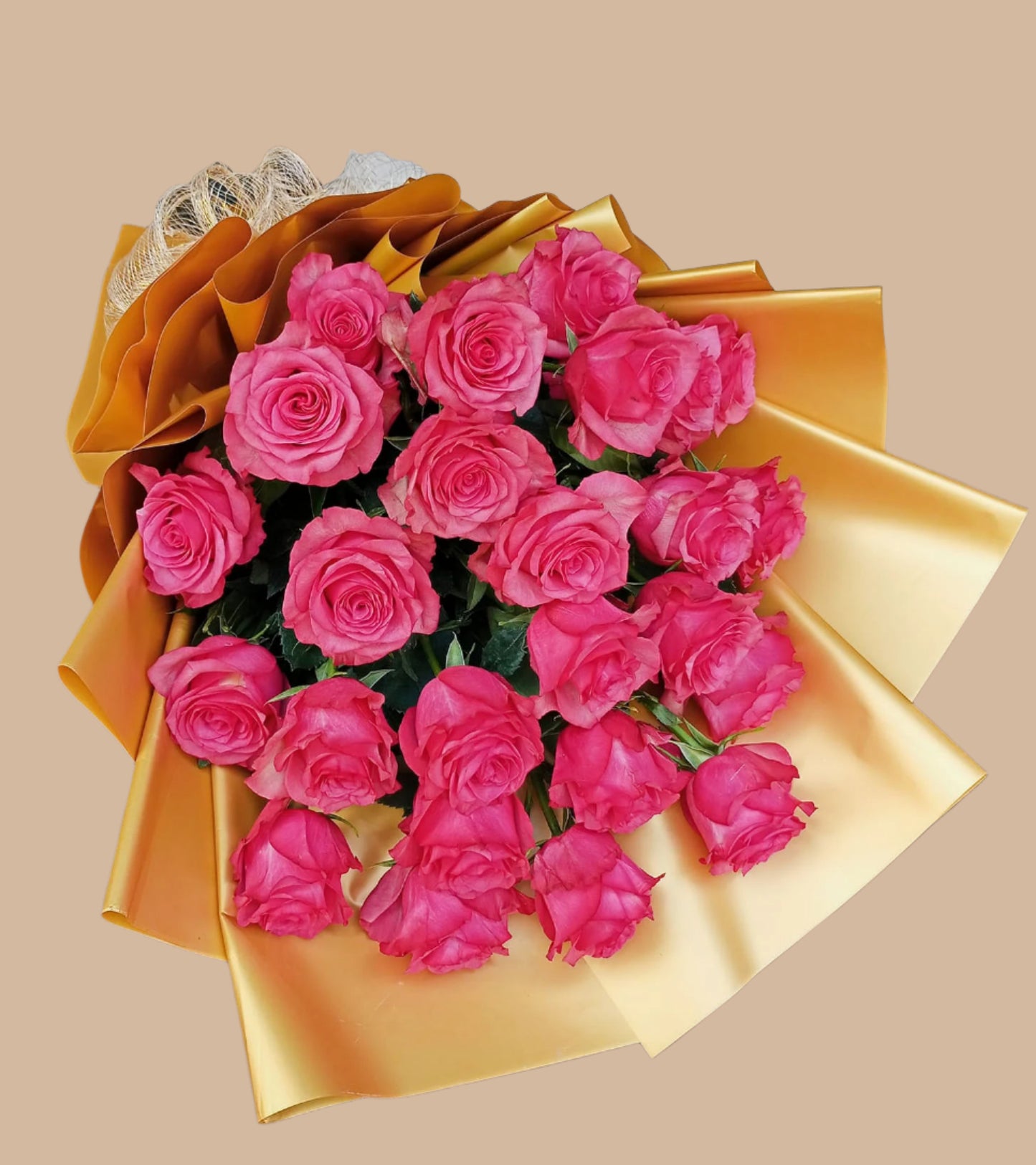 20 fusha pink(imported) roses