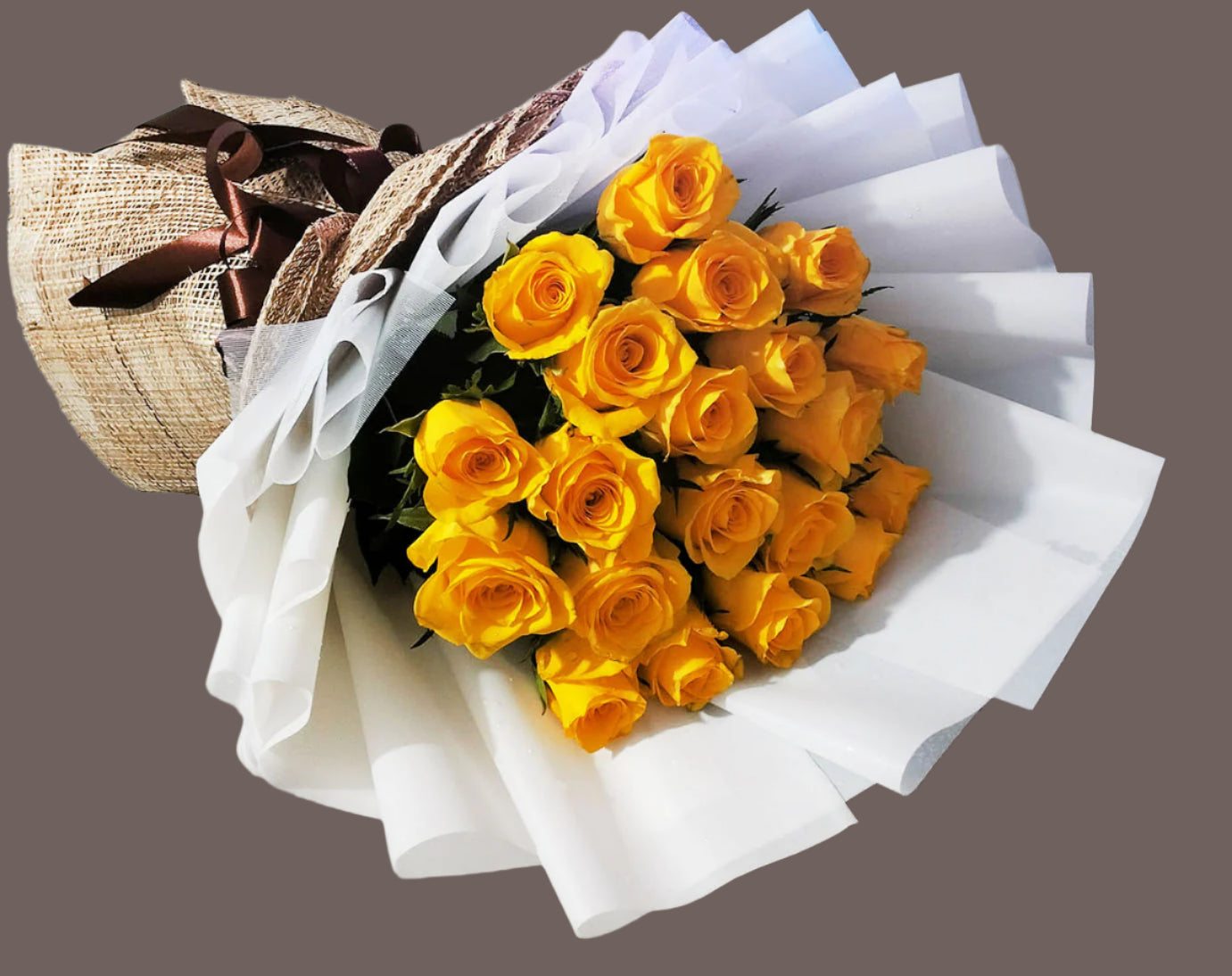 20 Yellow China Rose