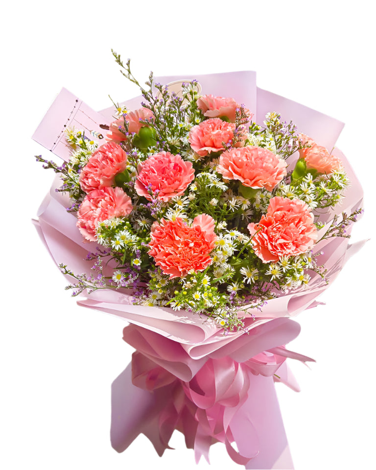 10 Coral Carnation in love