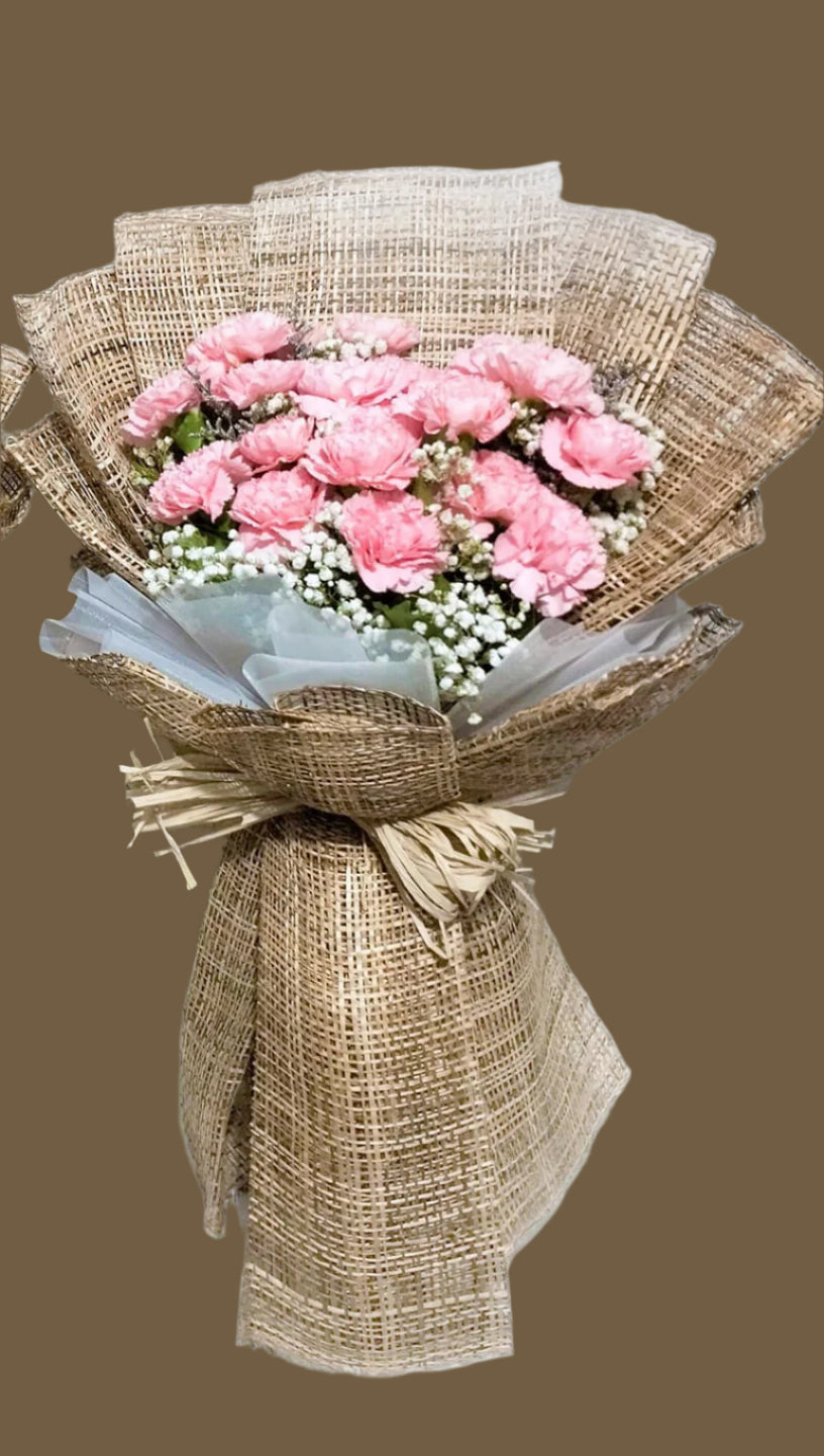 Sweet 16 carnation