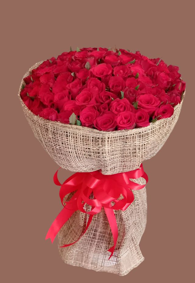 Giant - 8 dozen all red enthusiast