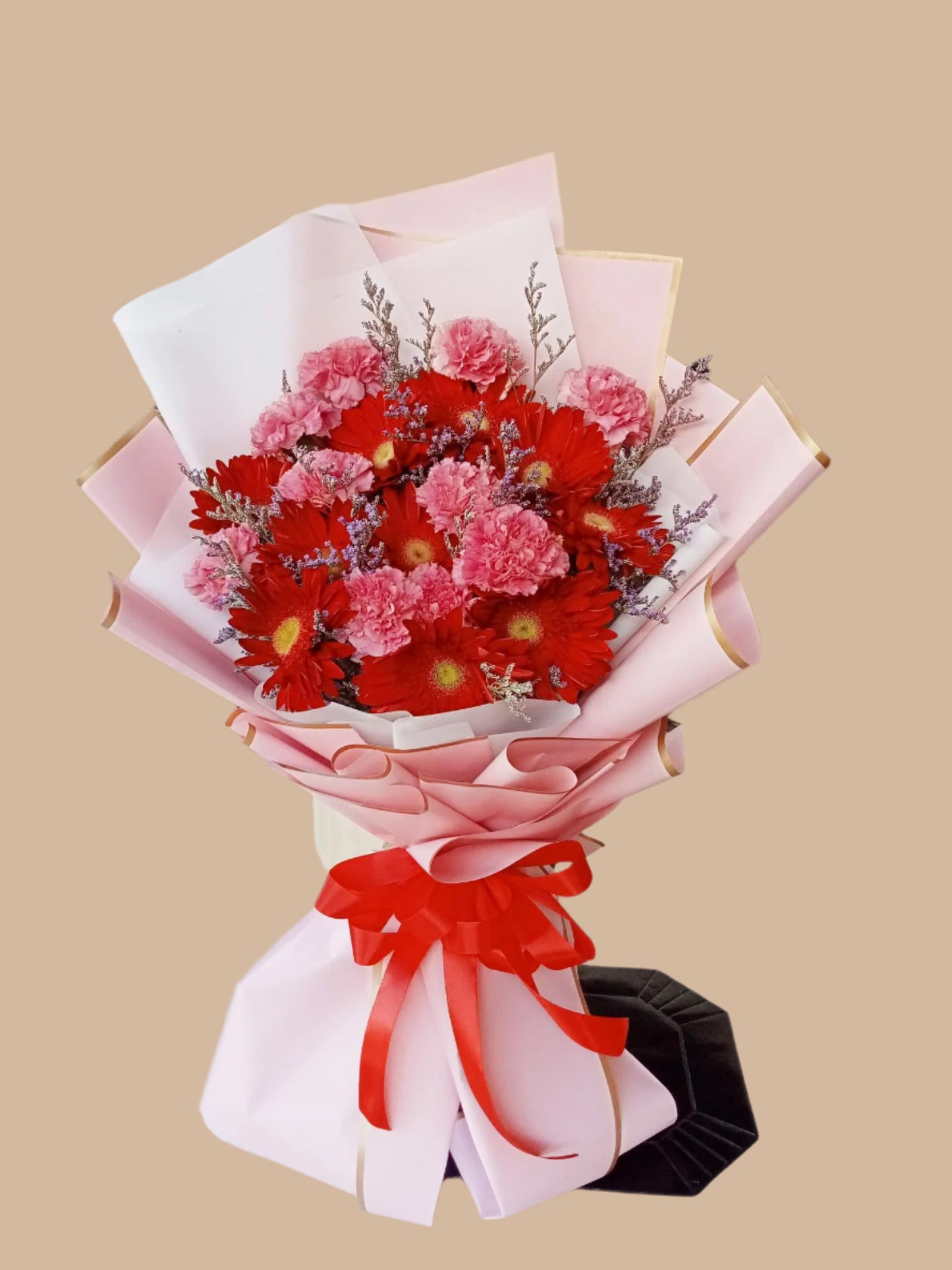 Sweet Gerby Carnation