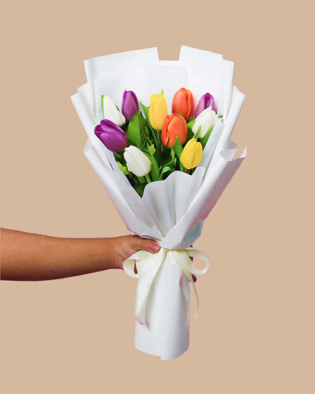 12 - Tulips Assorted Surprise