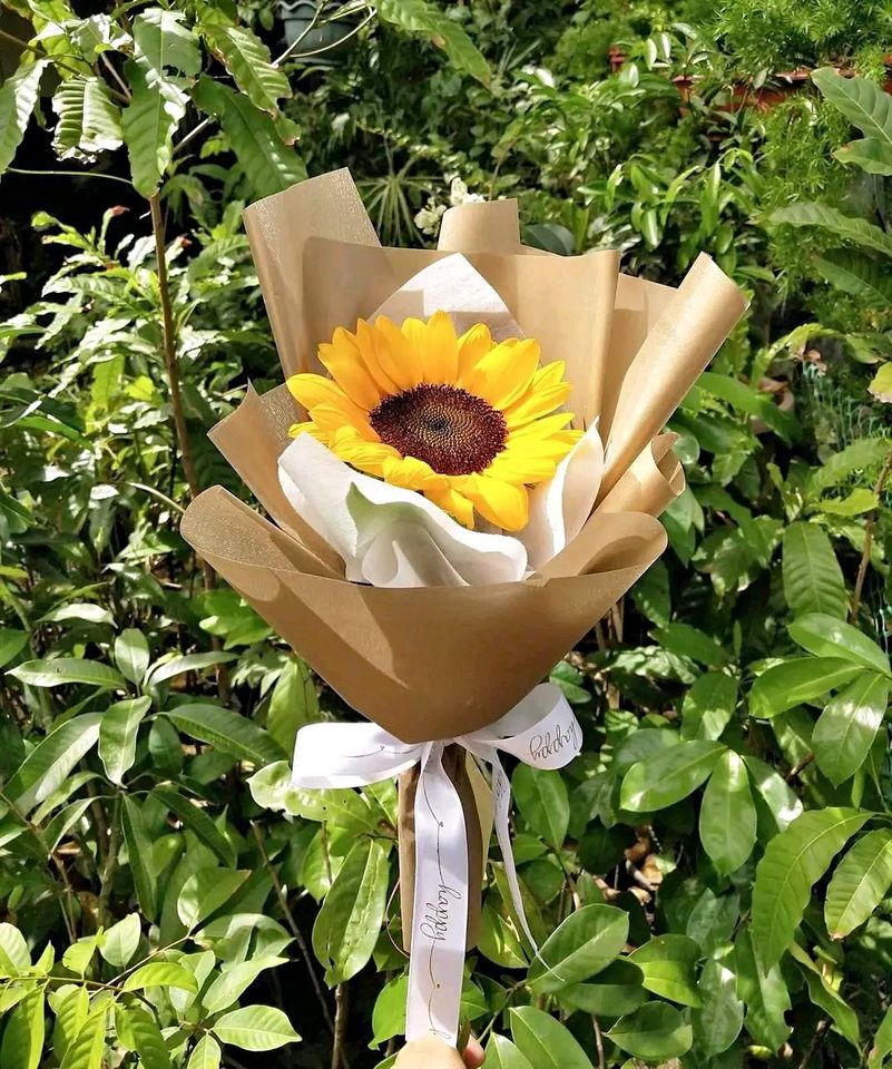 Single sunflower no fillers