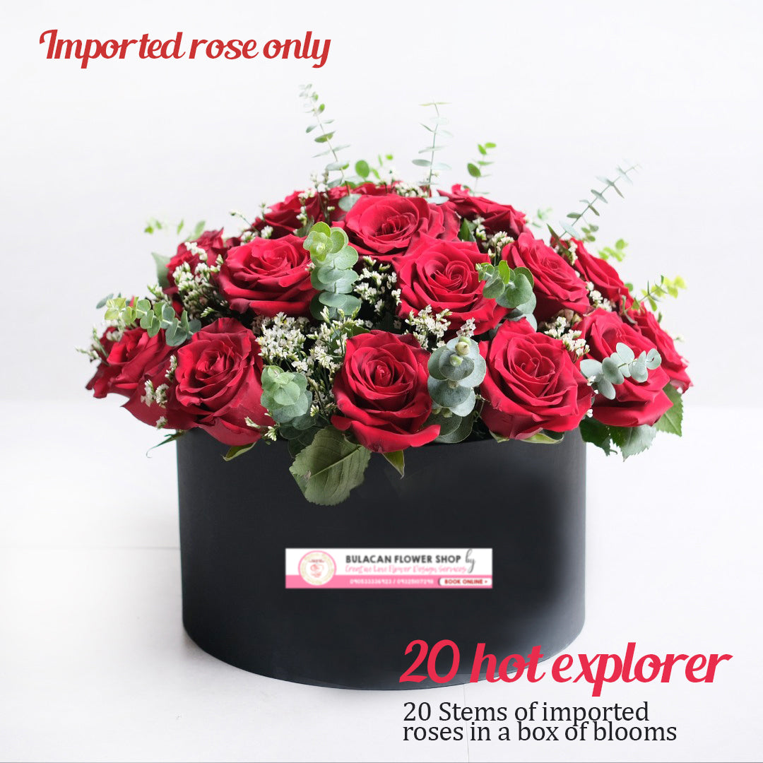 Box of Blooms - 20 hot Explorer
