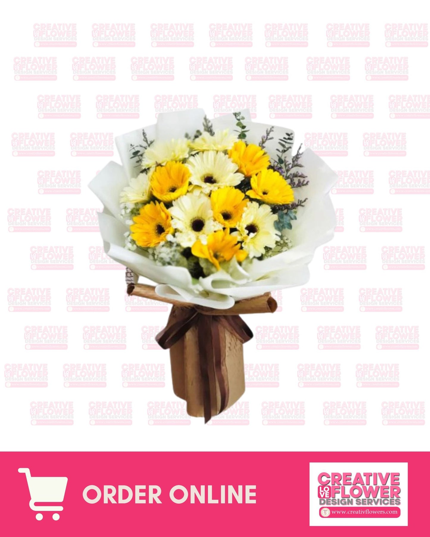 Daisy - Pure Cream Drift