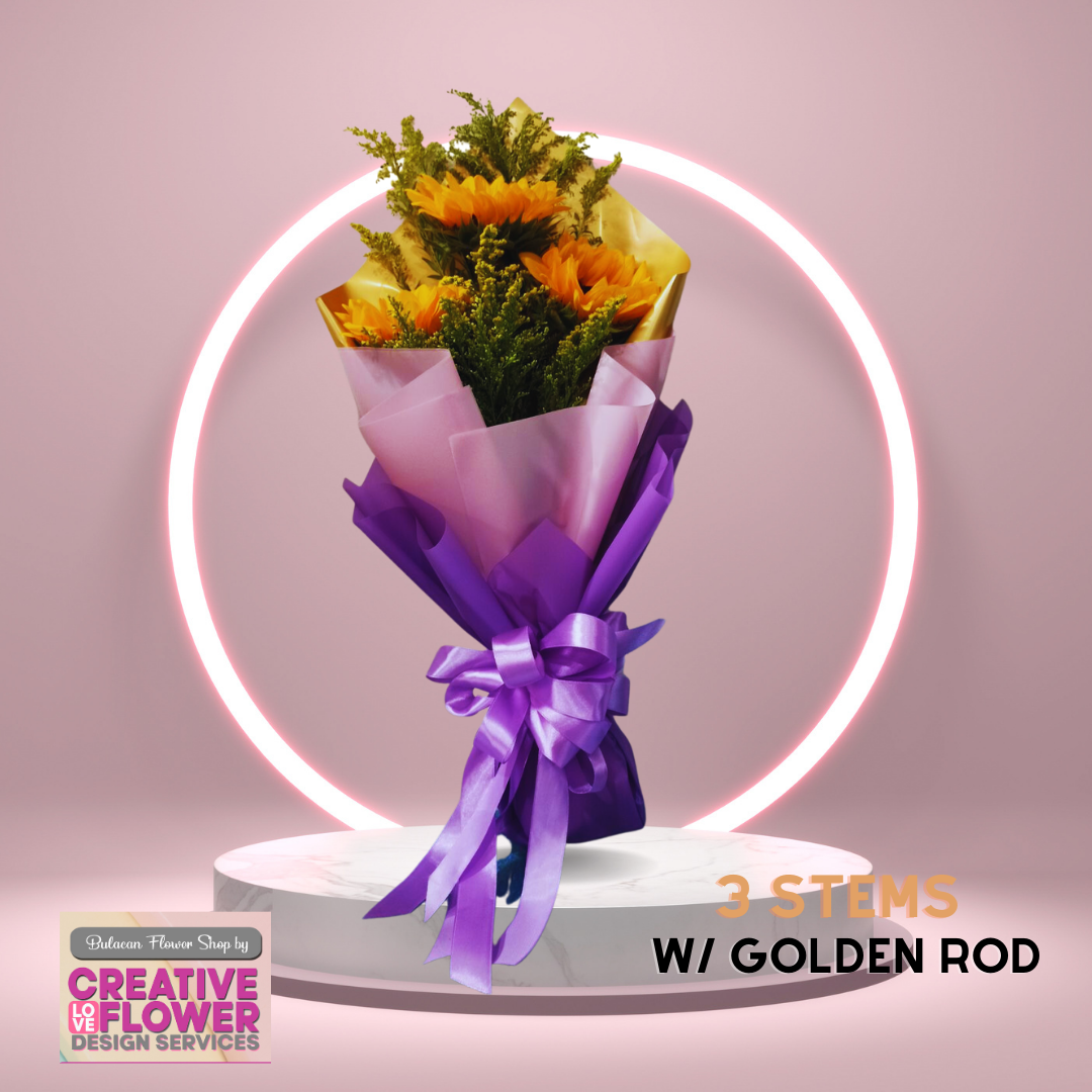 Sunflower - 3 Glancing