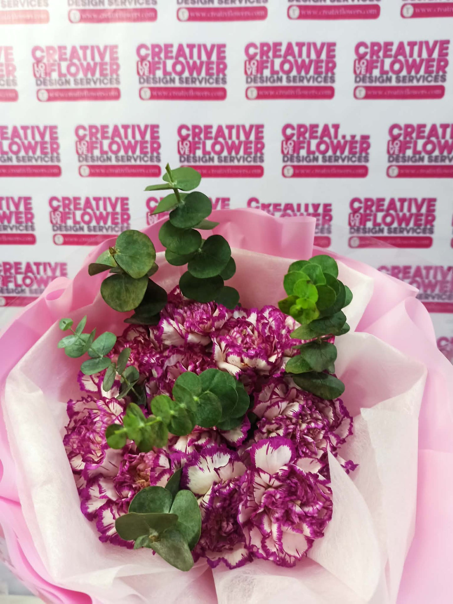 Carnation - Glimpse of Purpal