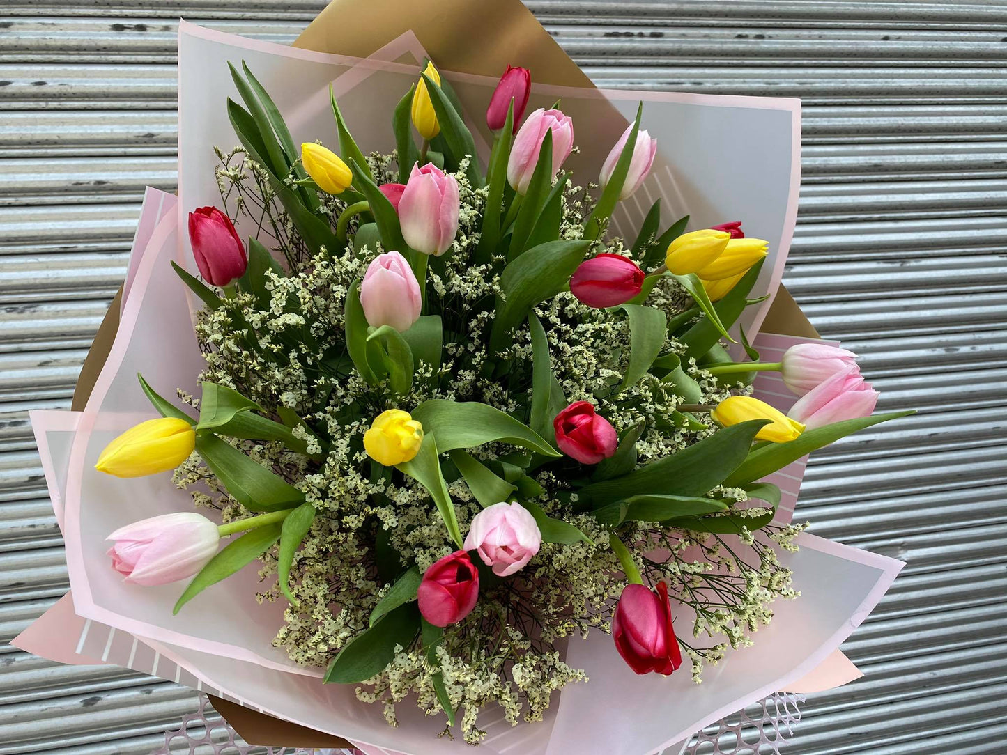 Tulips - 2 dozen round