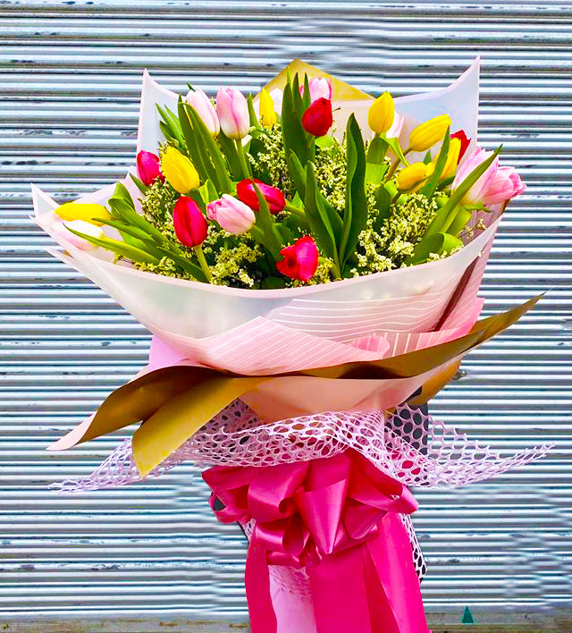 Tulips - 2 dozen round