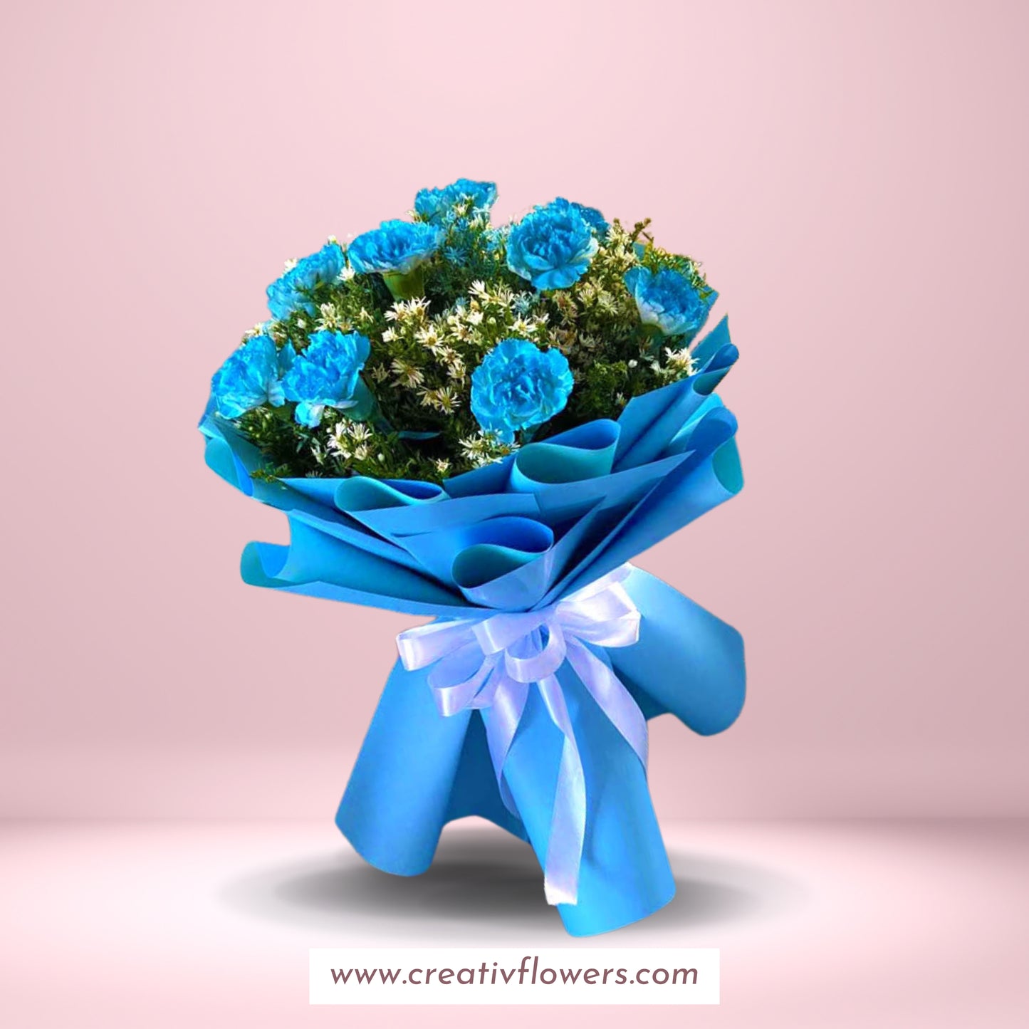 Carnation Blue Enthusiast