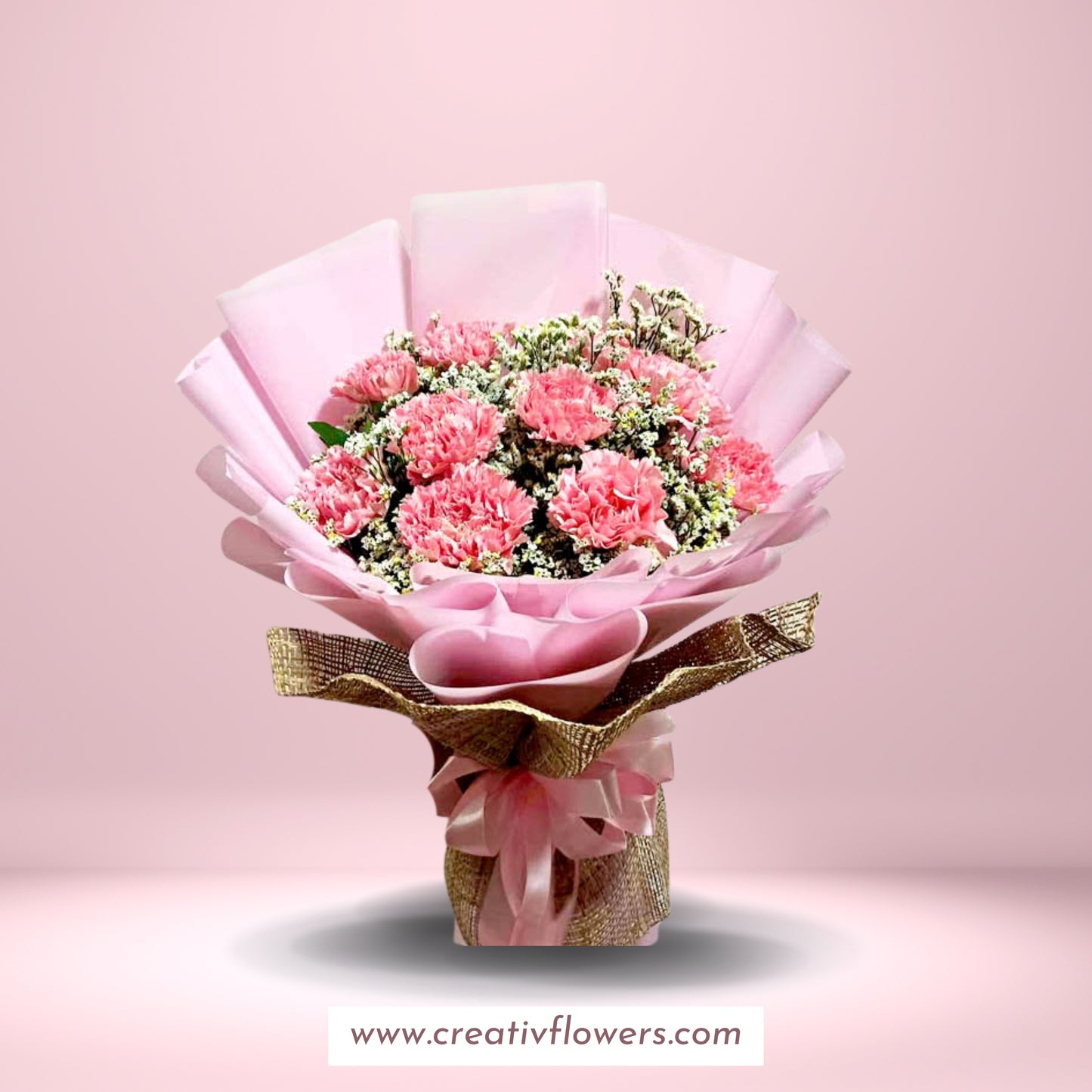 Carnation Sweet and Humble