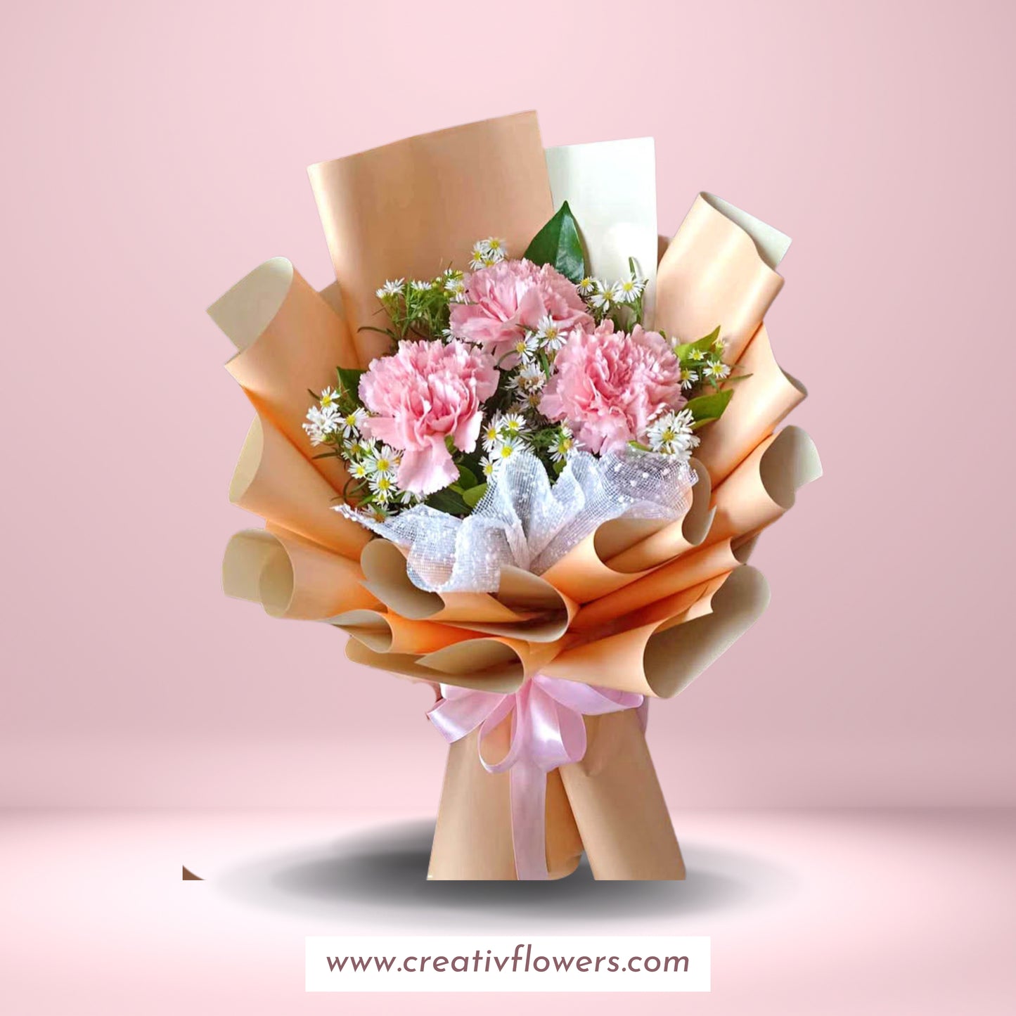 Carnation Tres Marias