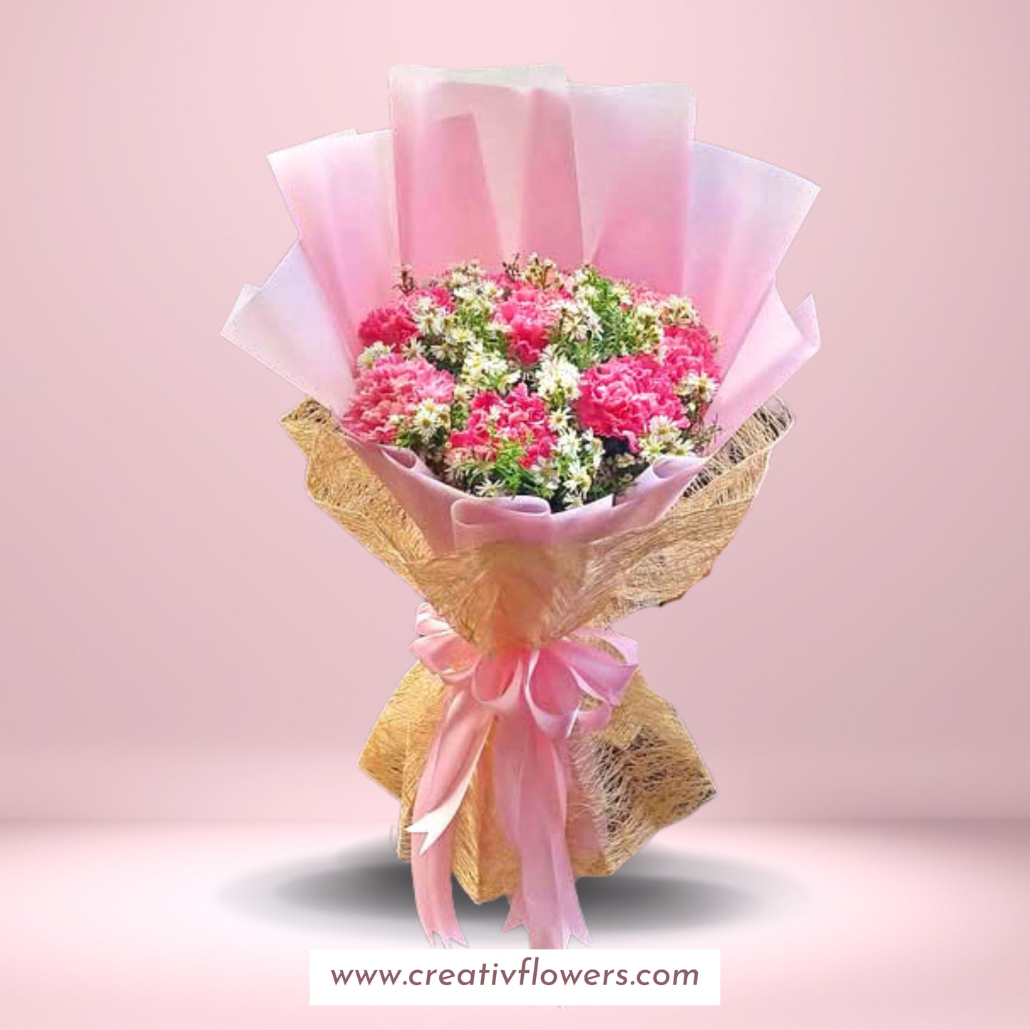 Carnation on blush