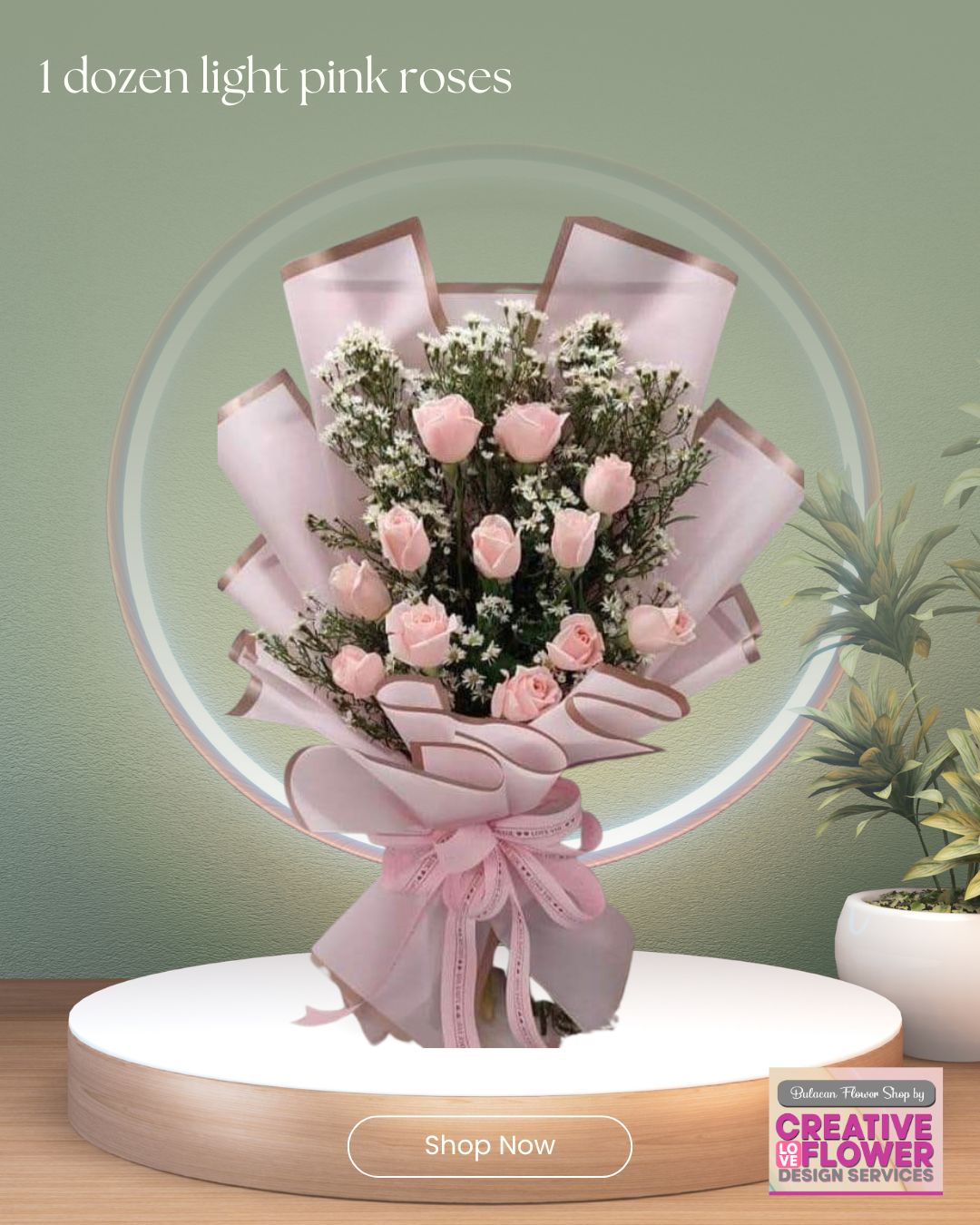 1 dozen - Light pink - seduce