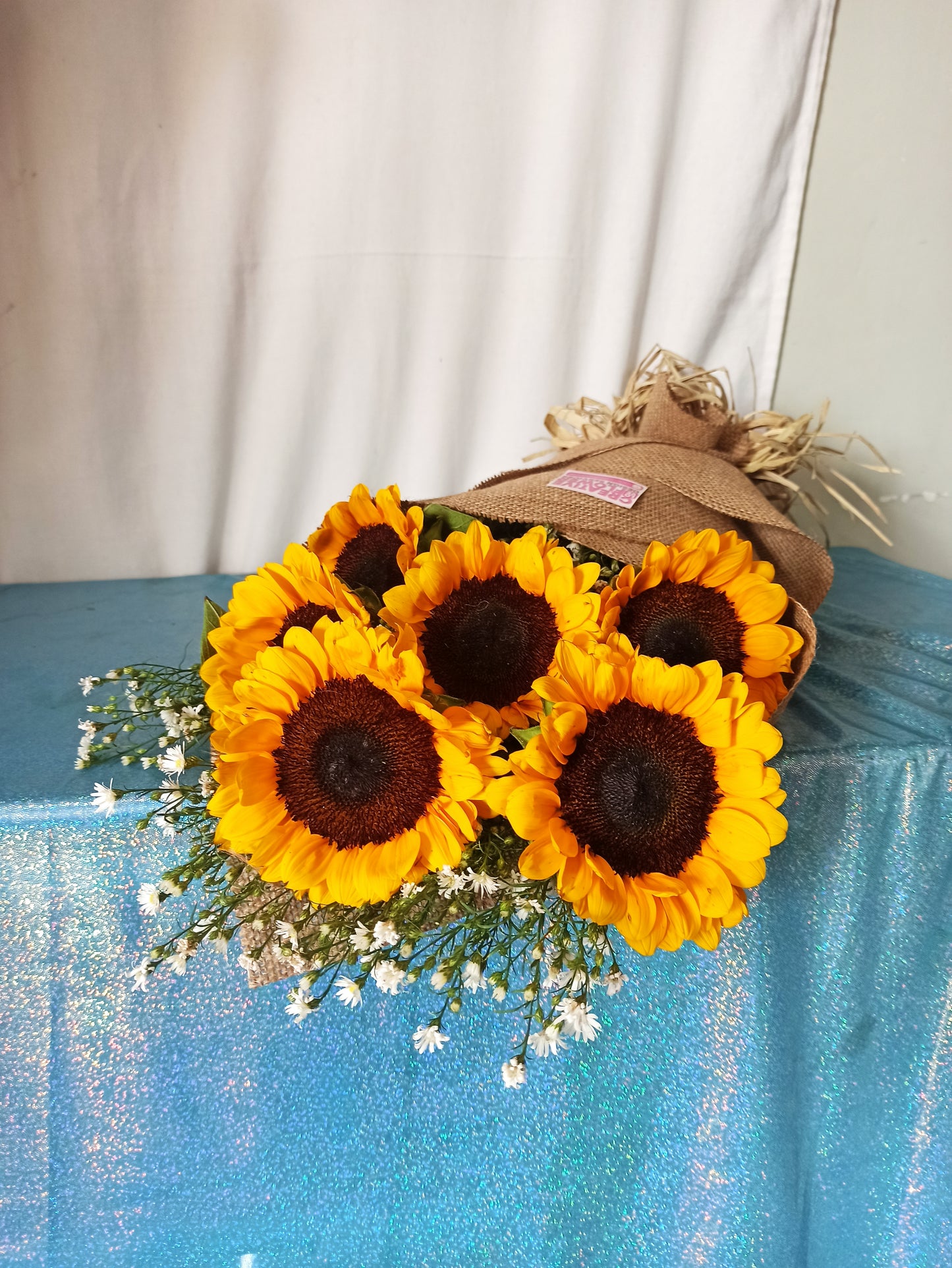 Sunflower - 6 and minimalist