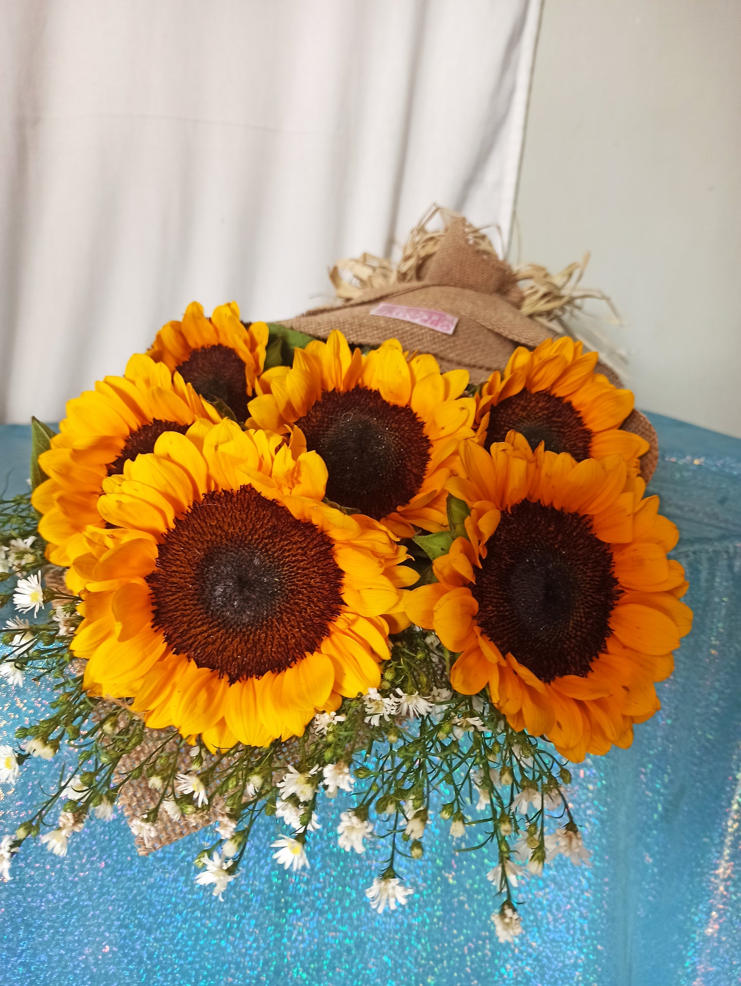 Sunflower - 6 and minimalist