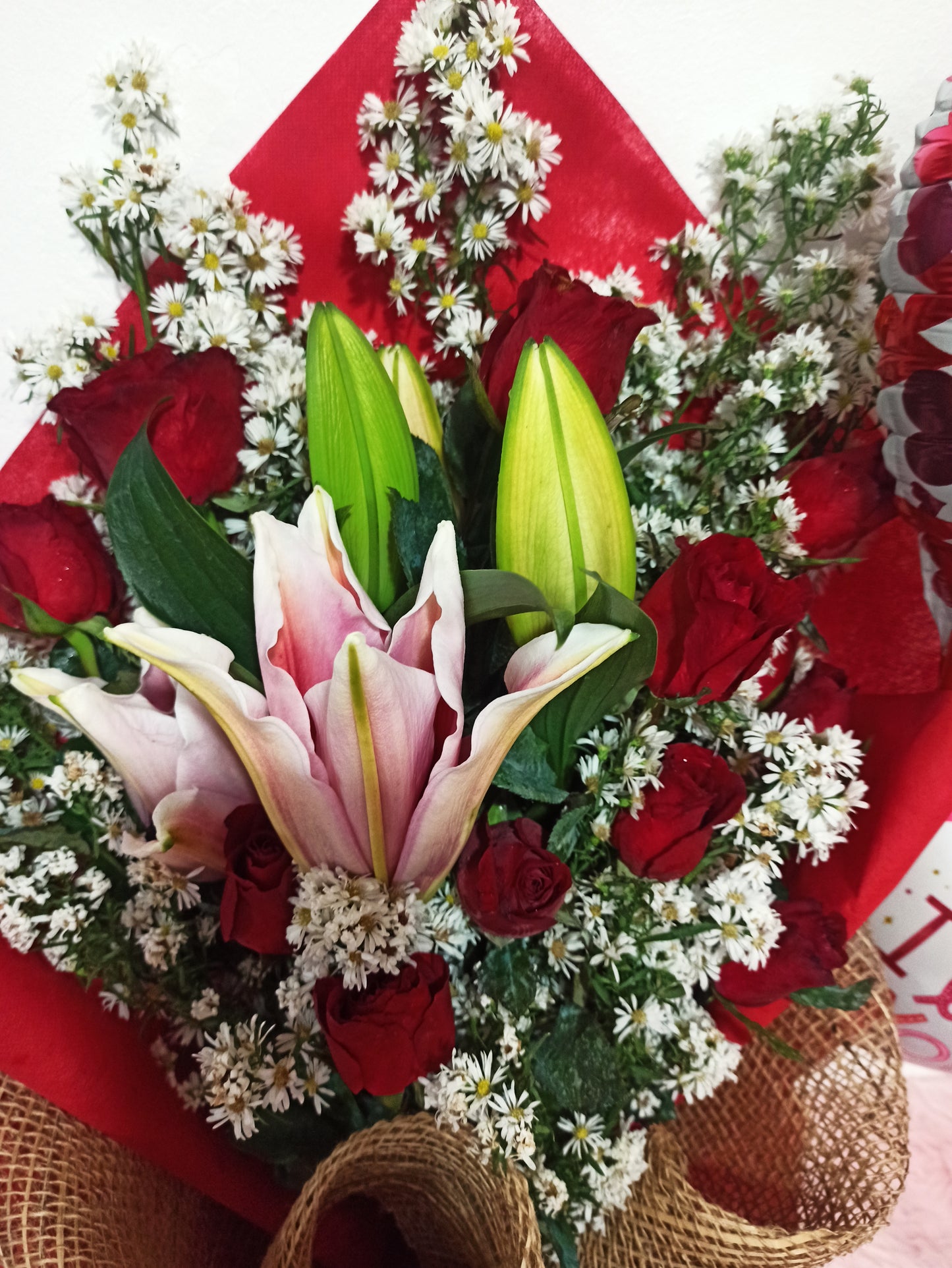 Stargazer- Red Starry