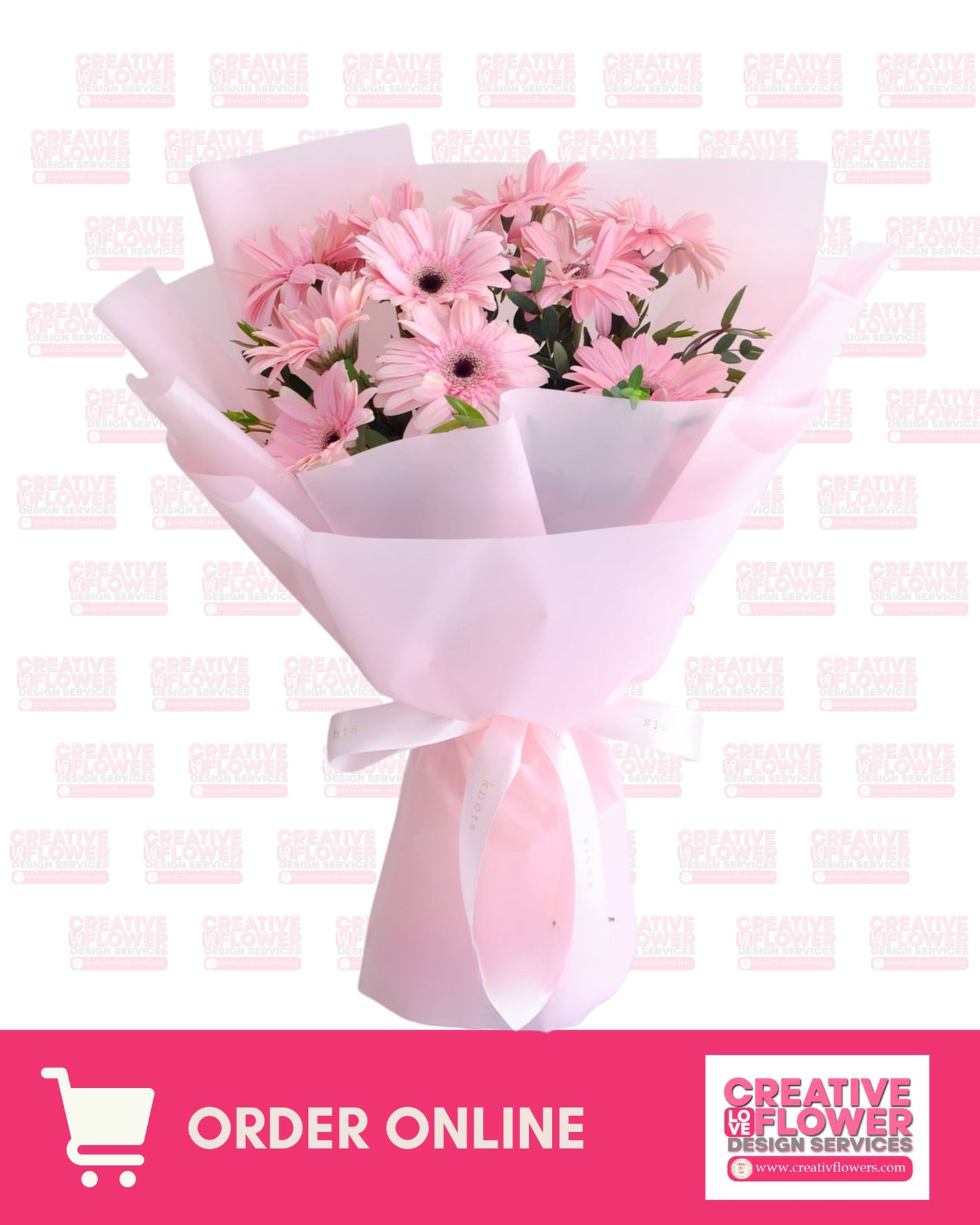 Daisy - Pink Delight