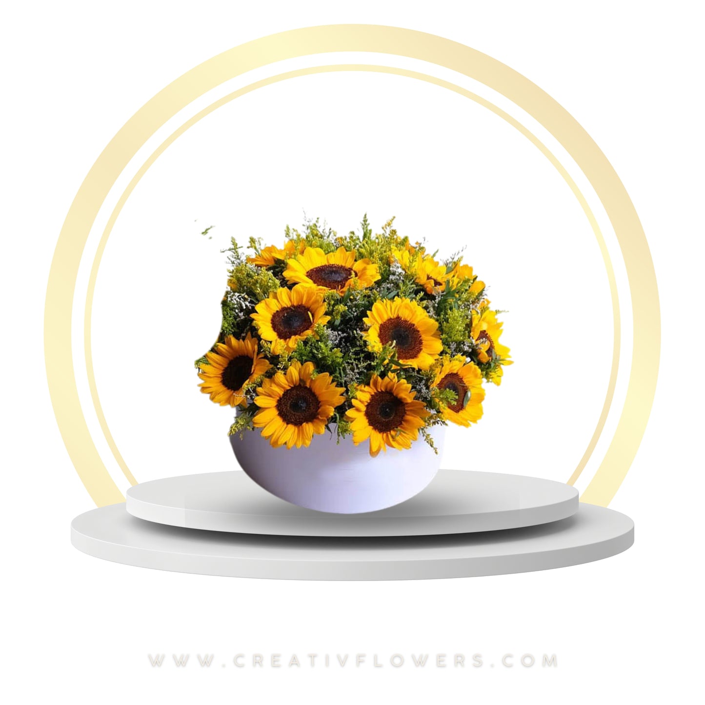 Sunflower - Warm Year Rounded (12) white box