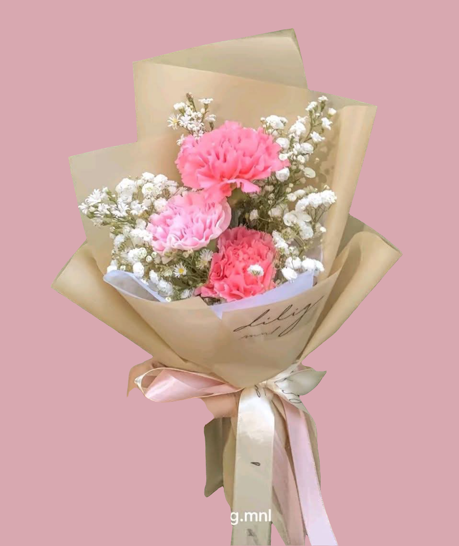 Carnation : Blushly