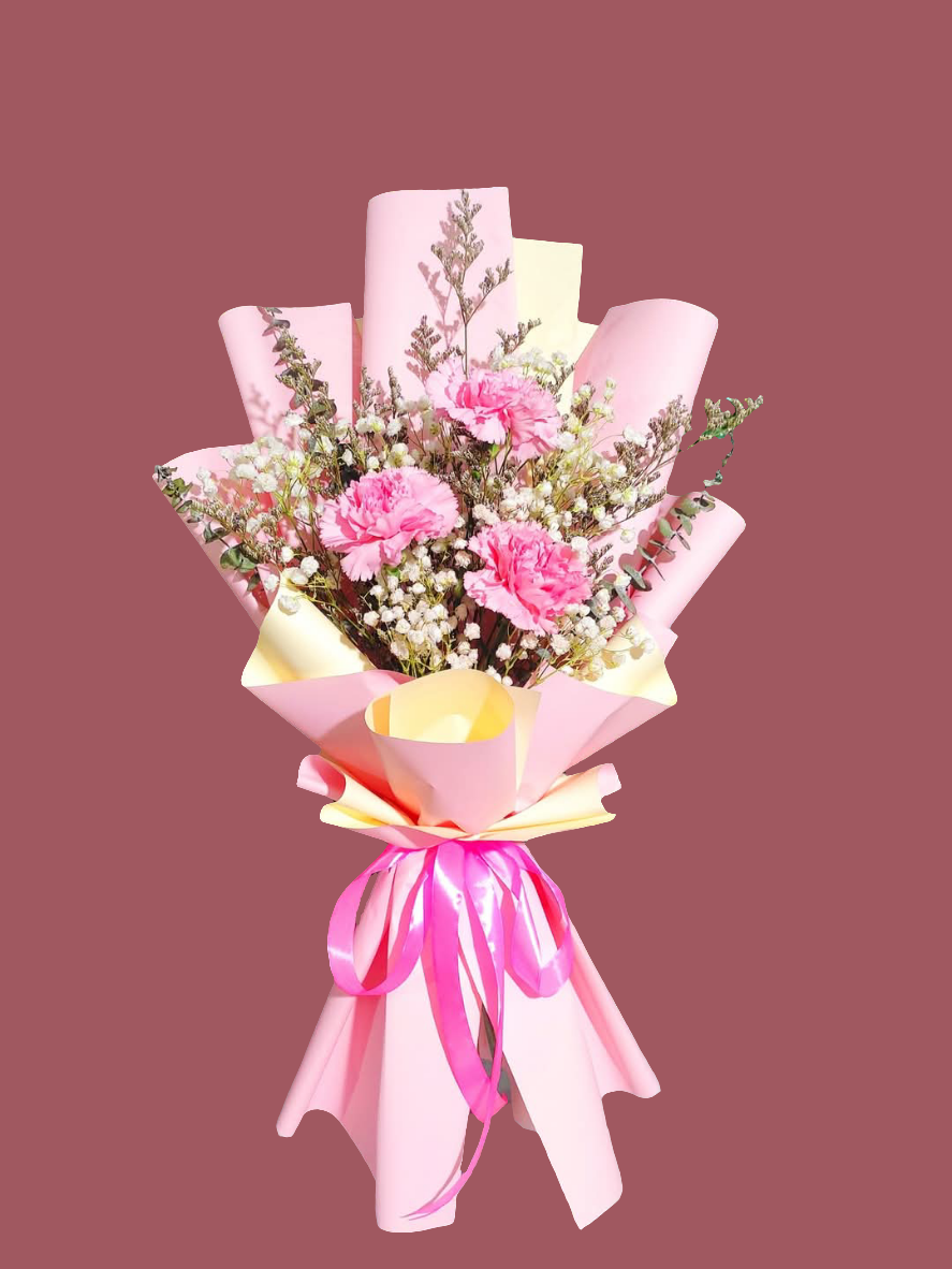 Carnation: Full of Blast