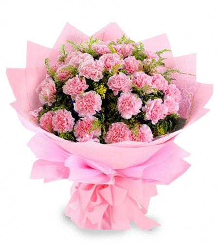 Carnation - 40 stems for You