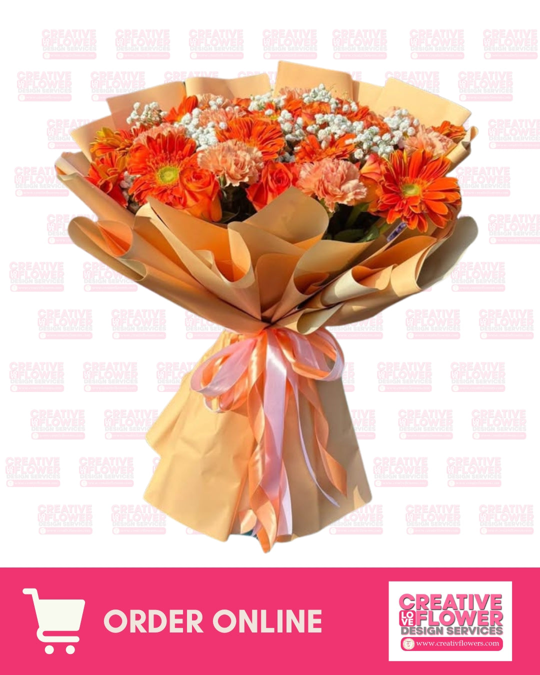 Daisy - Sunset Glow Carnation