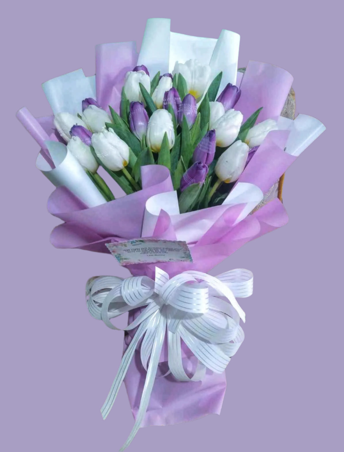 18 tulips - Purple Enchanteur