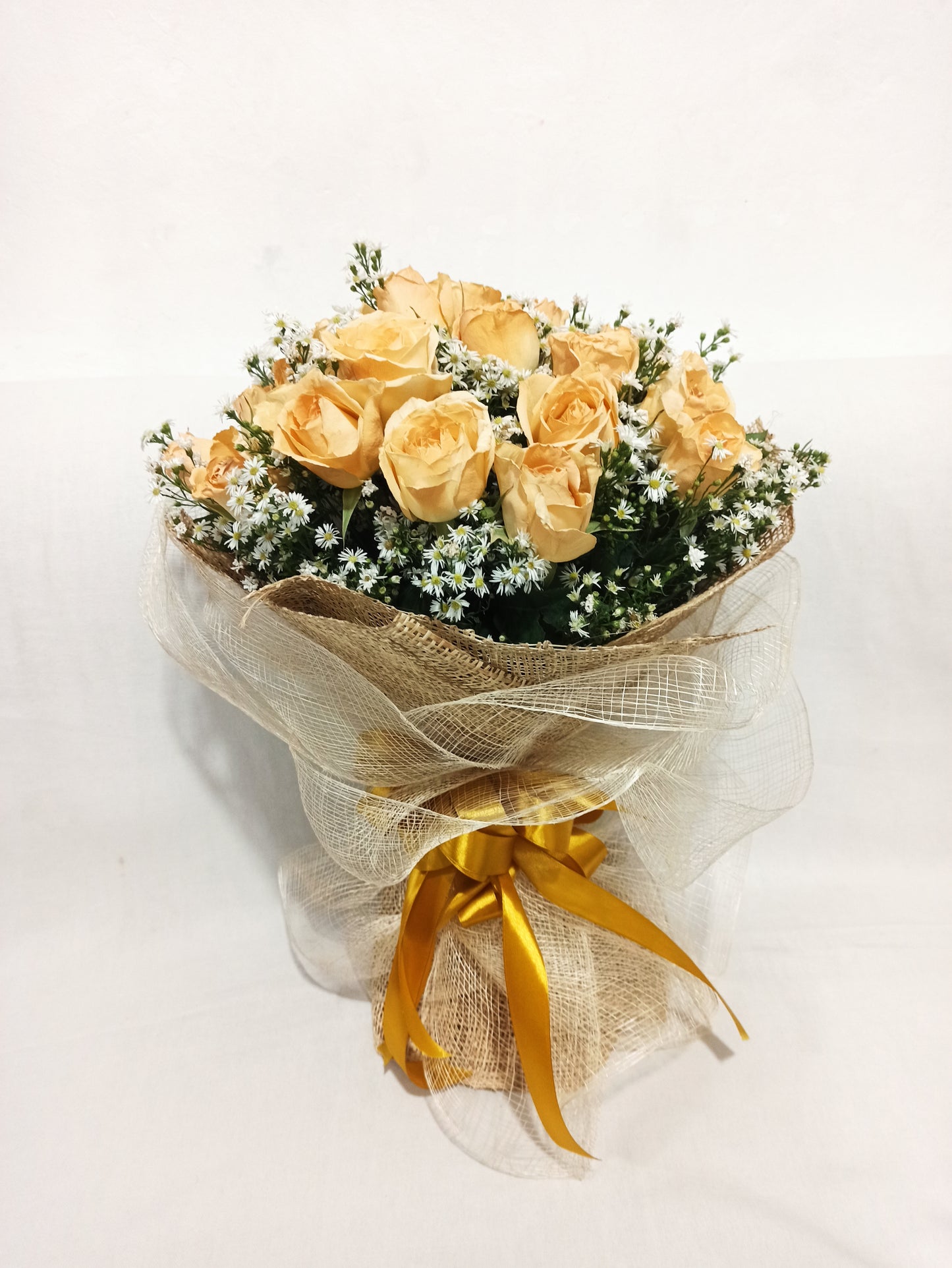 2 dozen- Fairy Light Peach