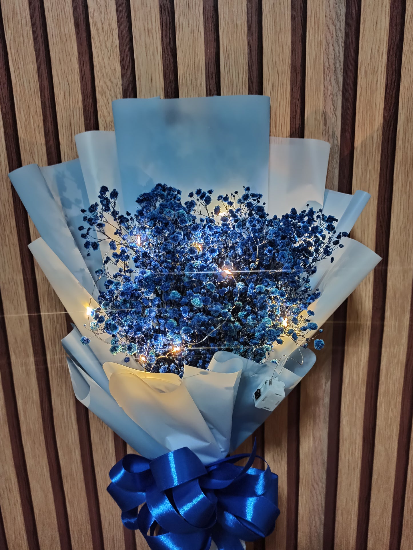GYPSO- BLUE Enthusiat