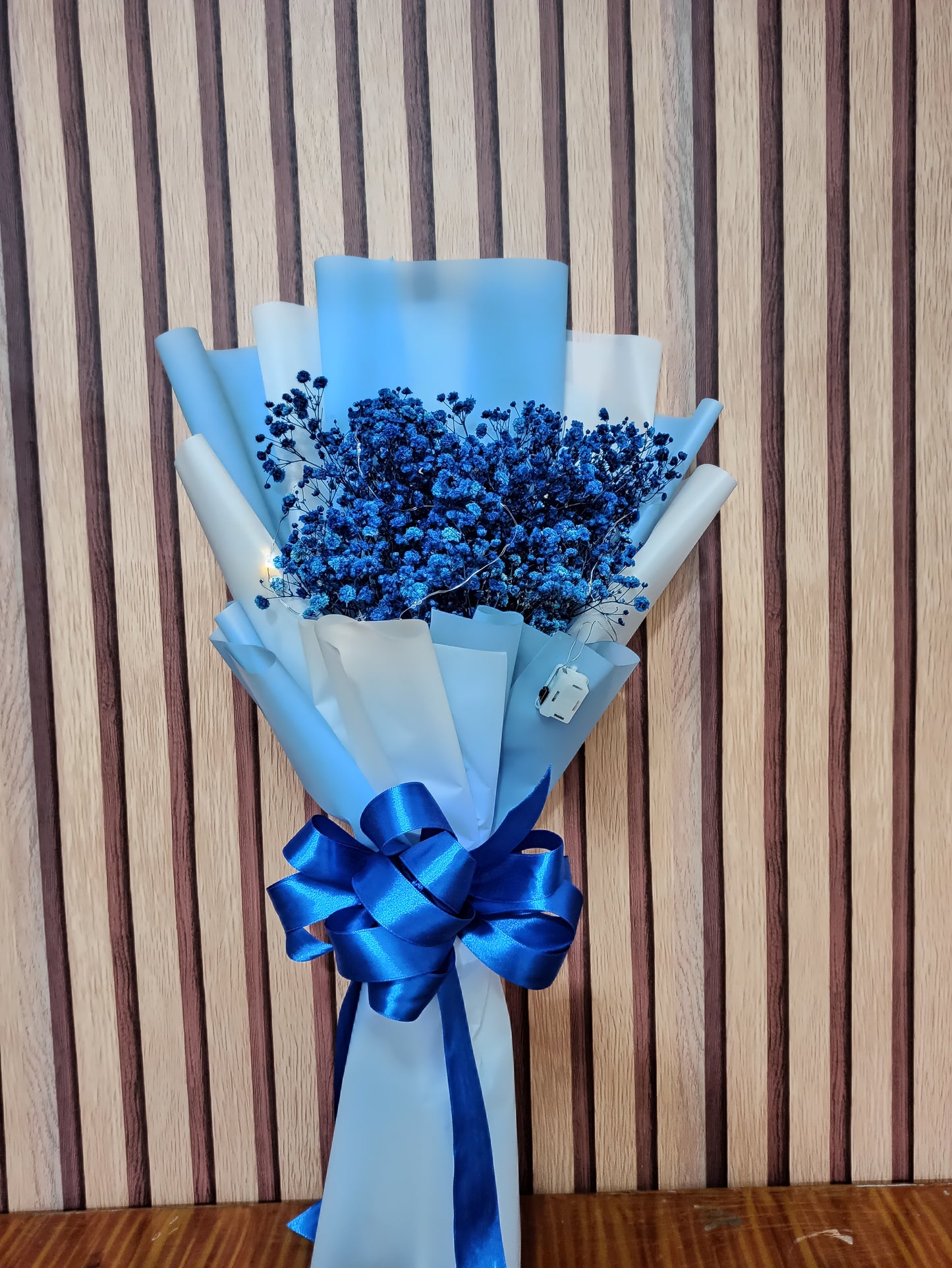 GYPSO- BLUE Enthusiat