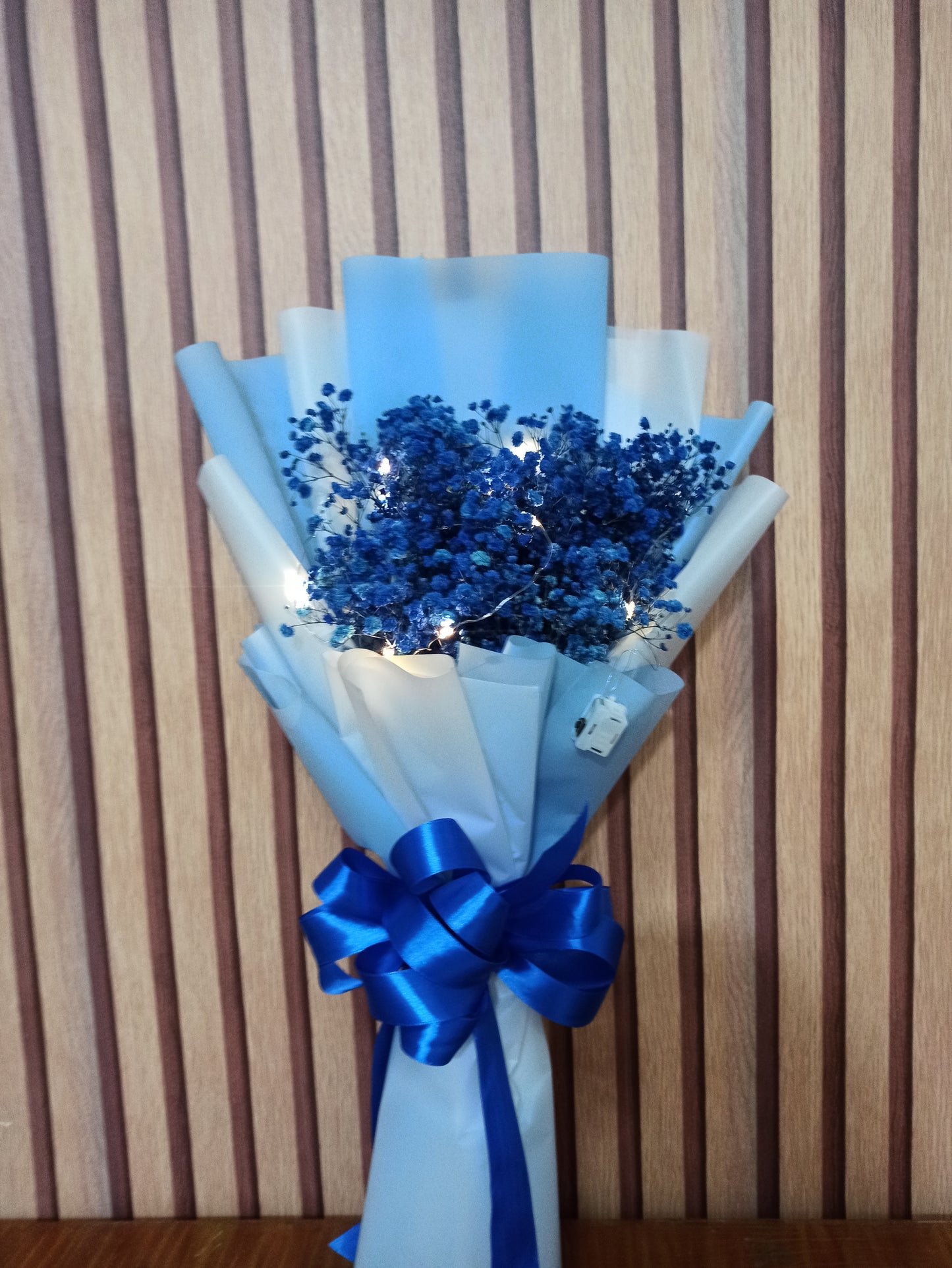 GYPSO- BLUE Enthusiat