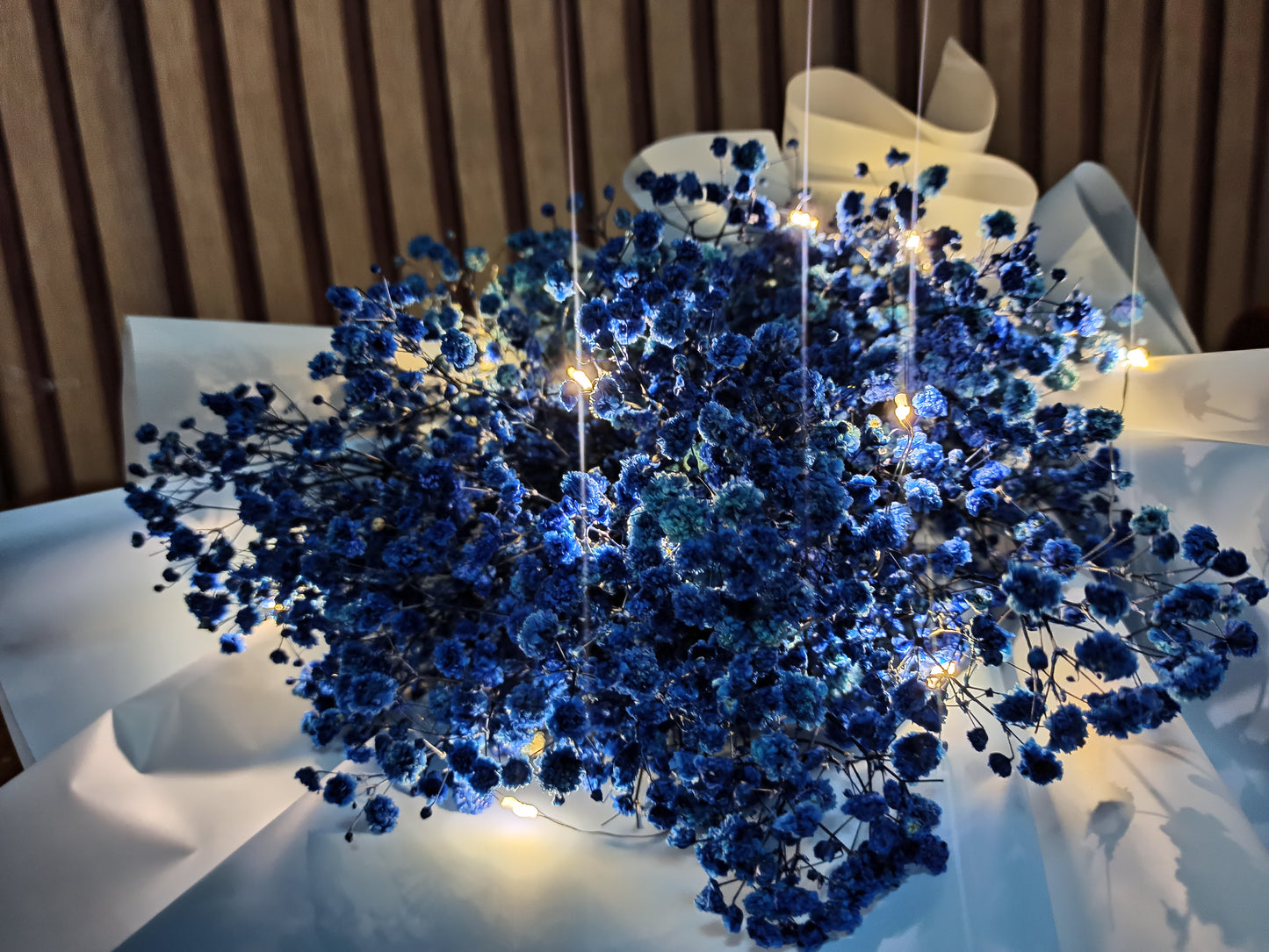 GYPSO- BLUE Enthusiat