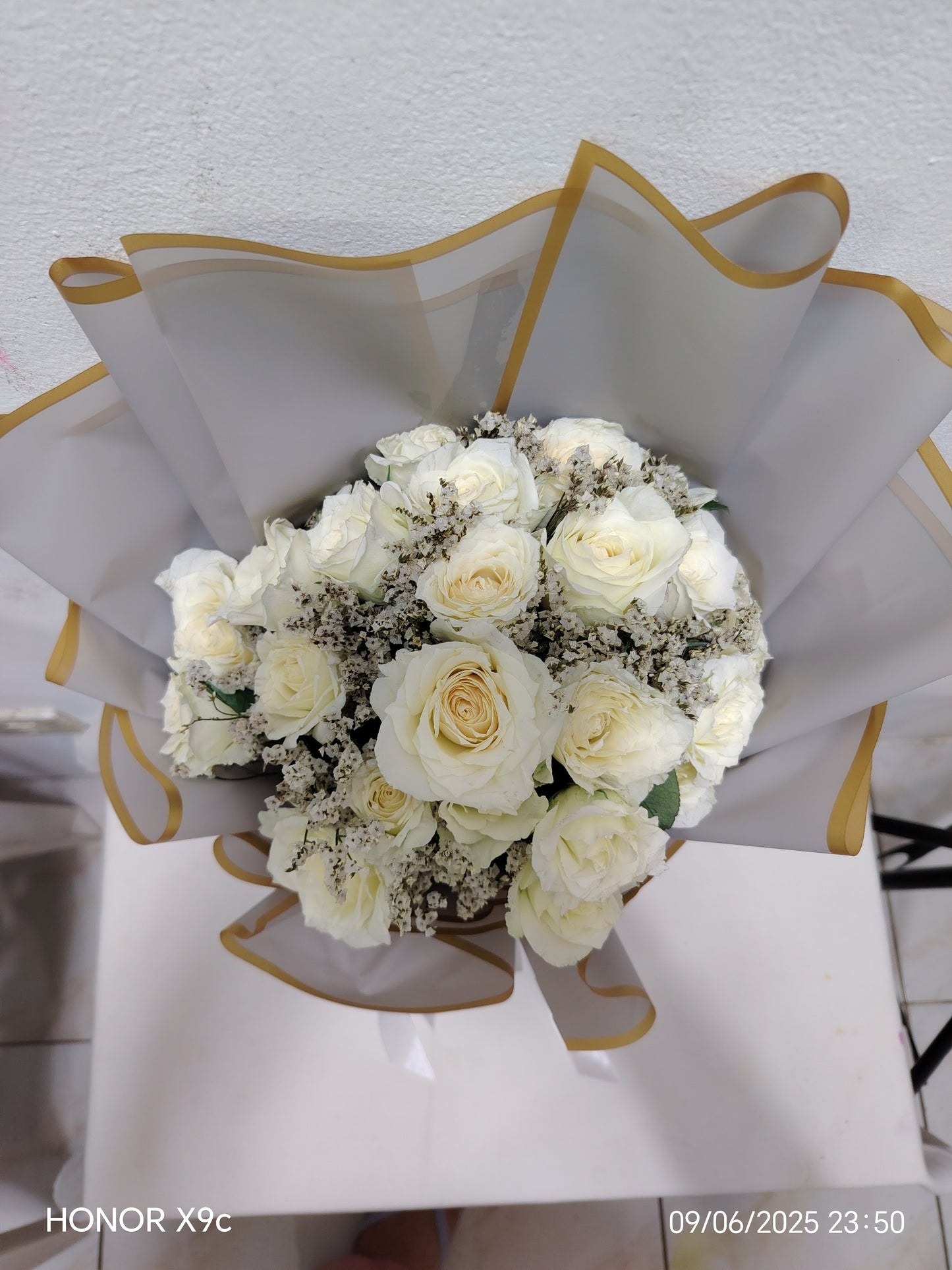2 dozen White Roses - Dream Babe