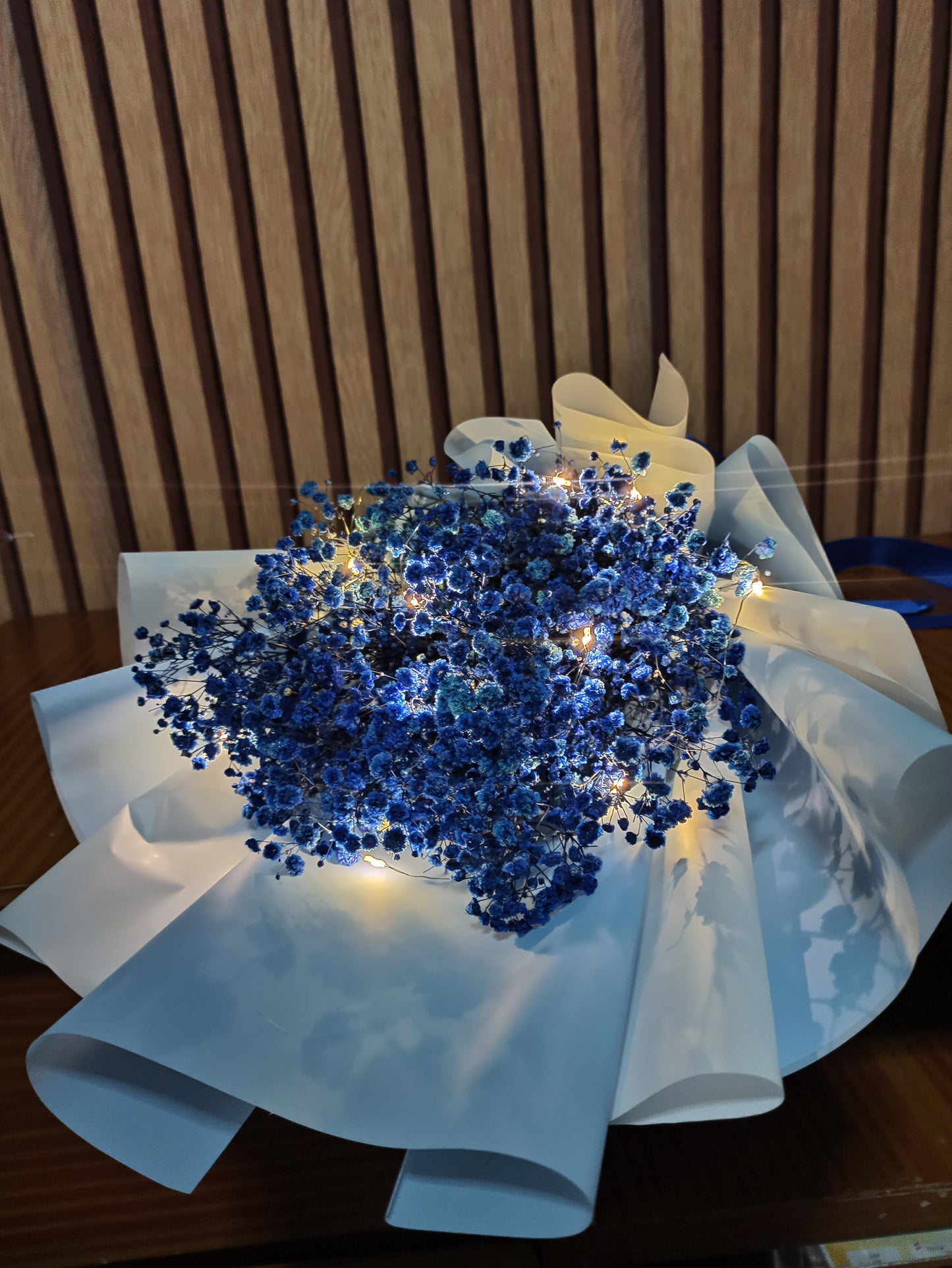 GYPSO- BLUE Enthusiat