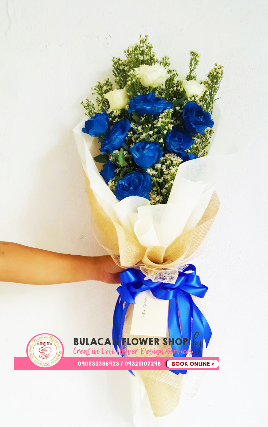 1 dozen - Simplicity Blue