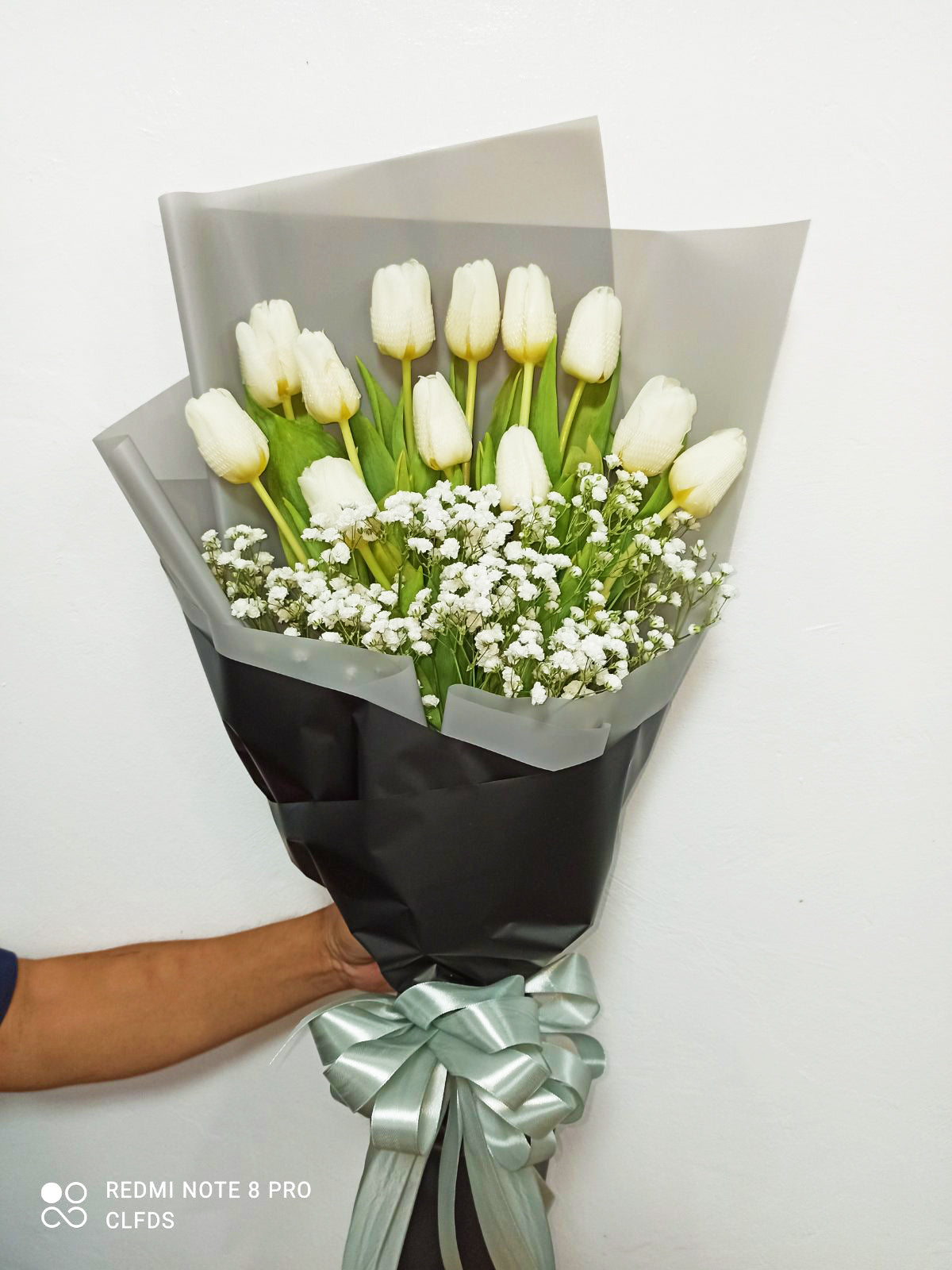 Tulips - 12White Tulips