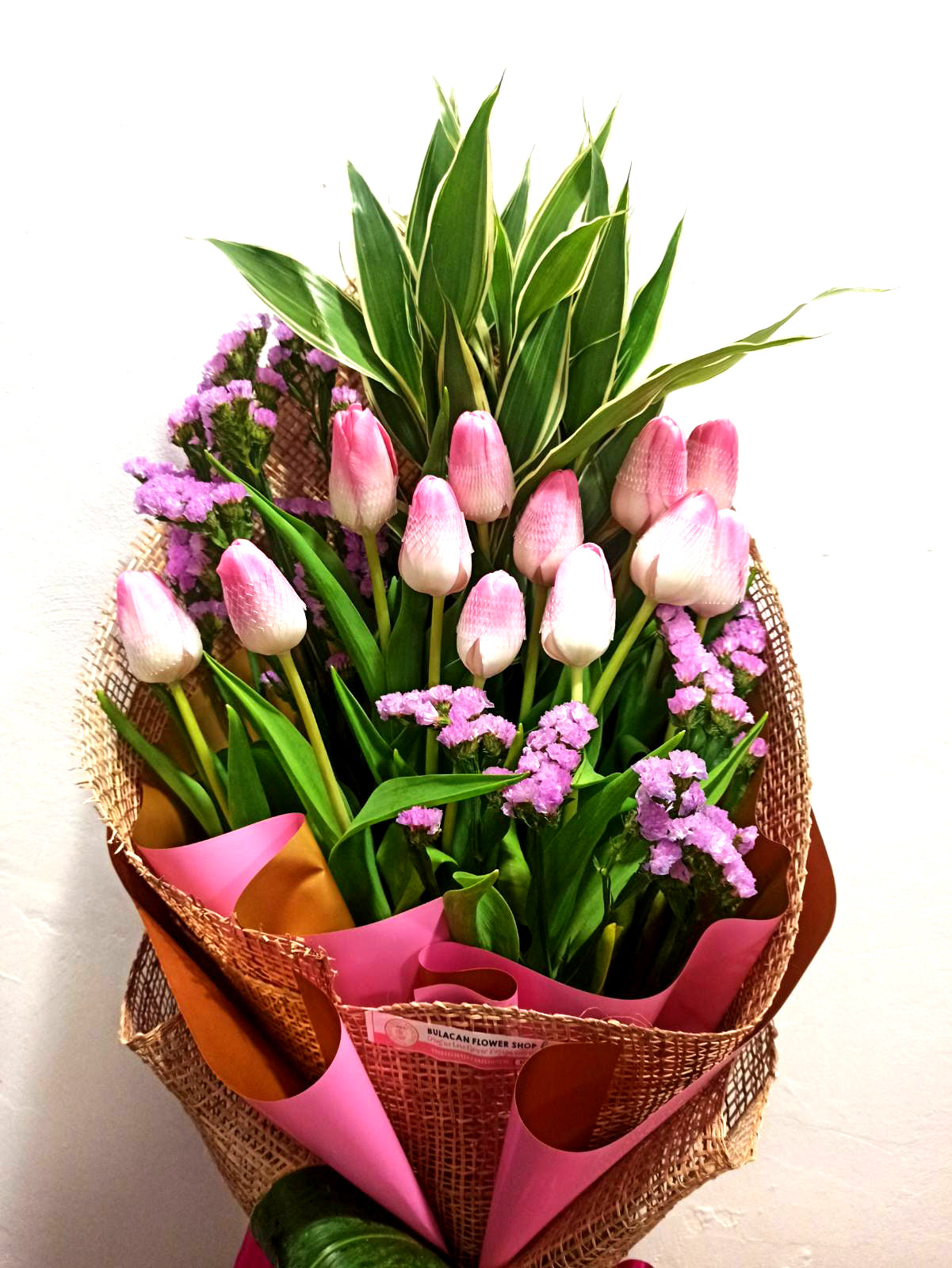 Tulips - Pink Lovely